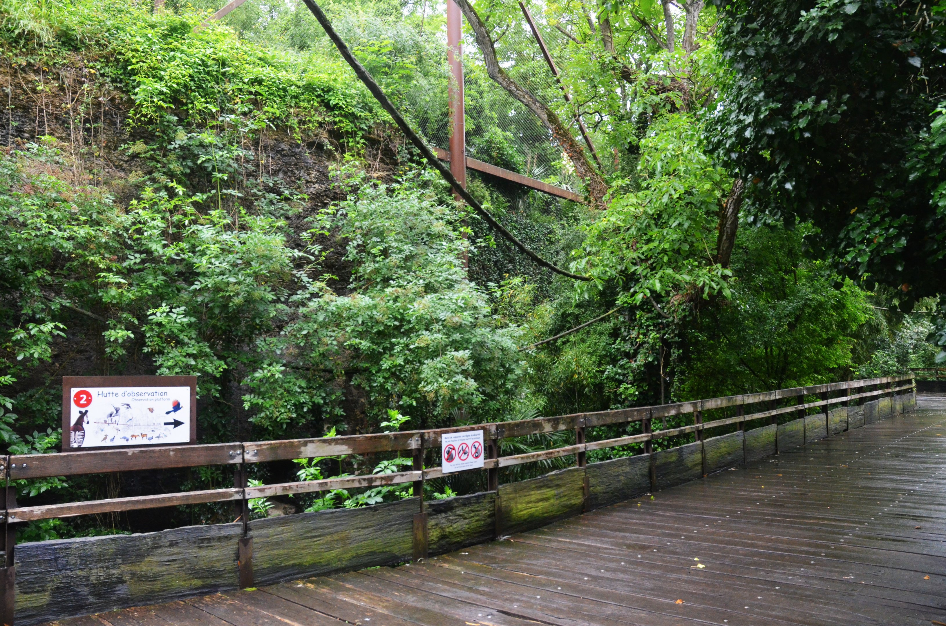 Okapi Sanctuary Aviary at Doué-la-Fontaine, 15/06/18