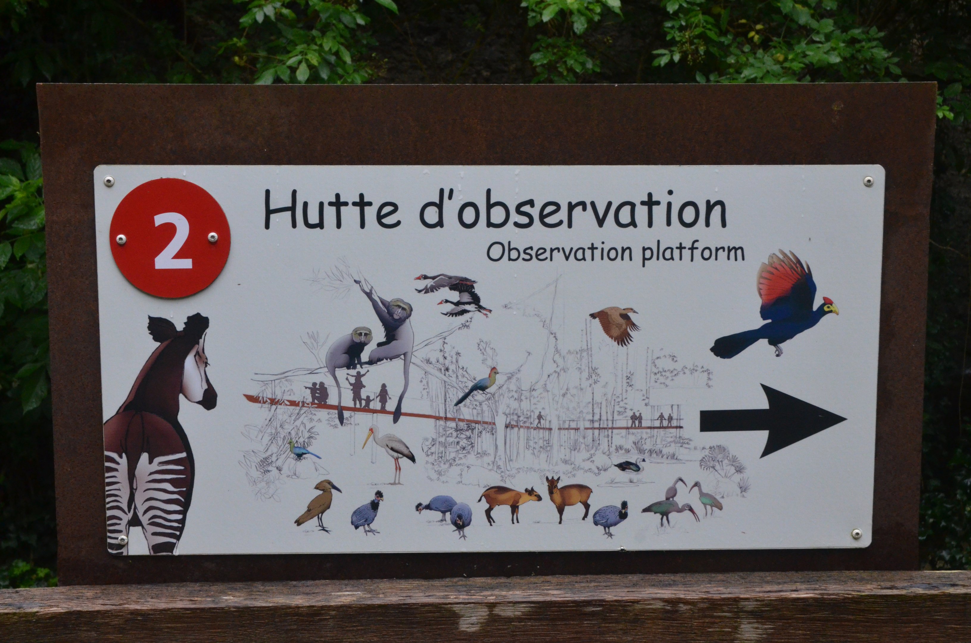 Okapi Sanctuary Aviary at Doué-la-Fontaine, 15/06/18