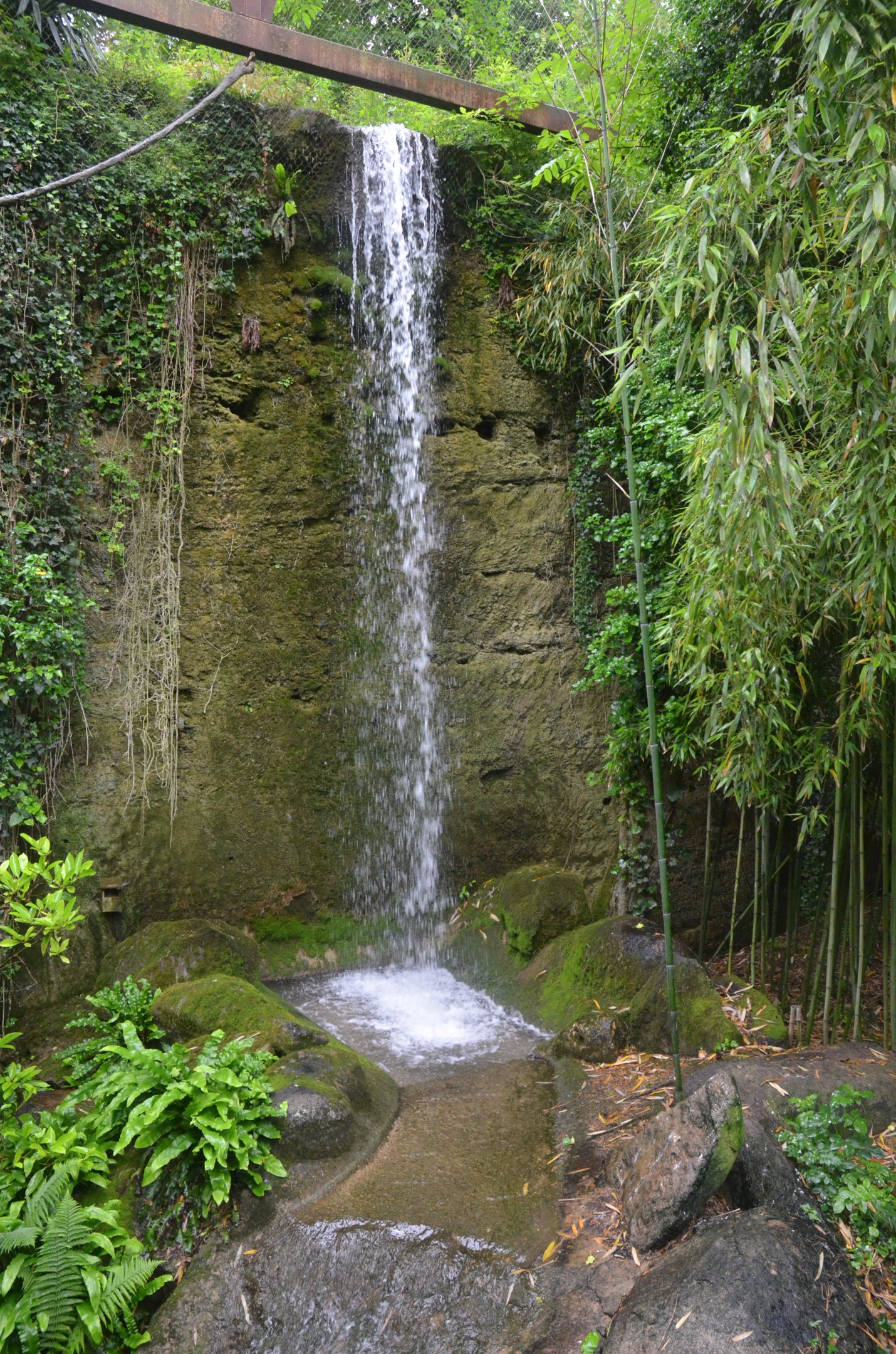 Okapi Sanctuary Aviary at Doué-la-Fontaine, 15/06/18