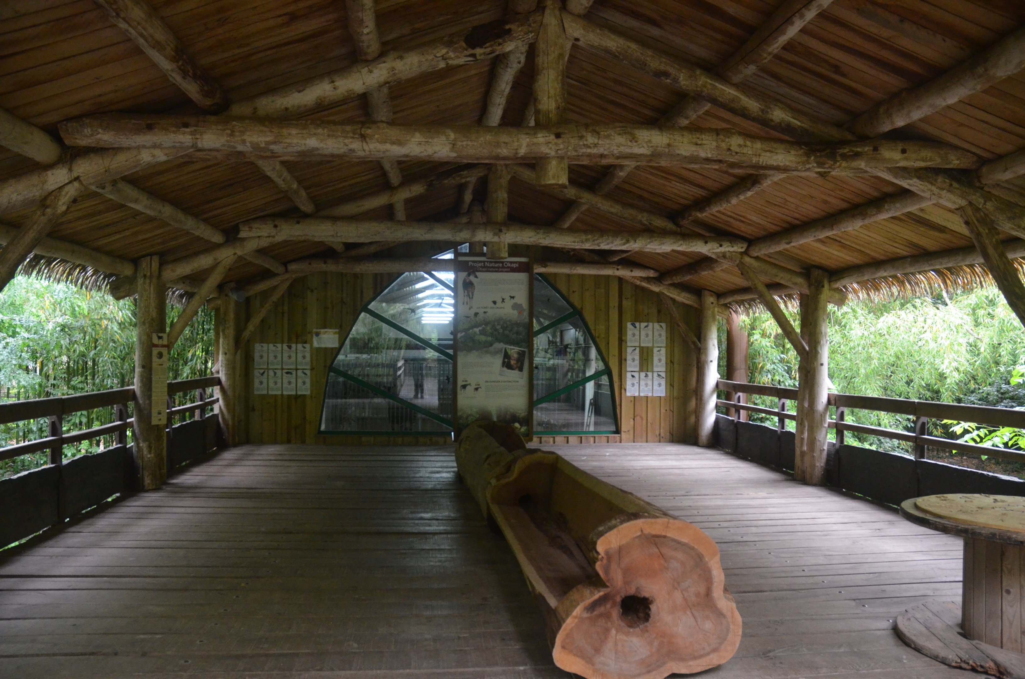 Okapi Sanctuary Aviary at Doué-la-Fontaine, 15/06/18