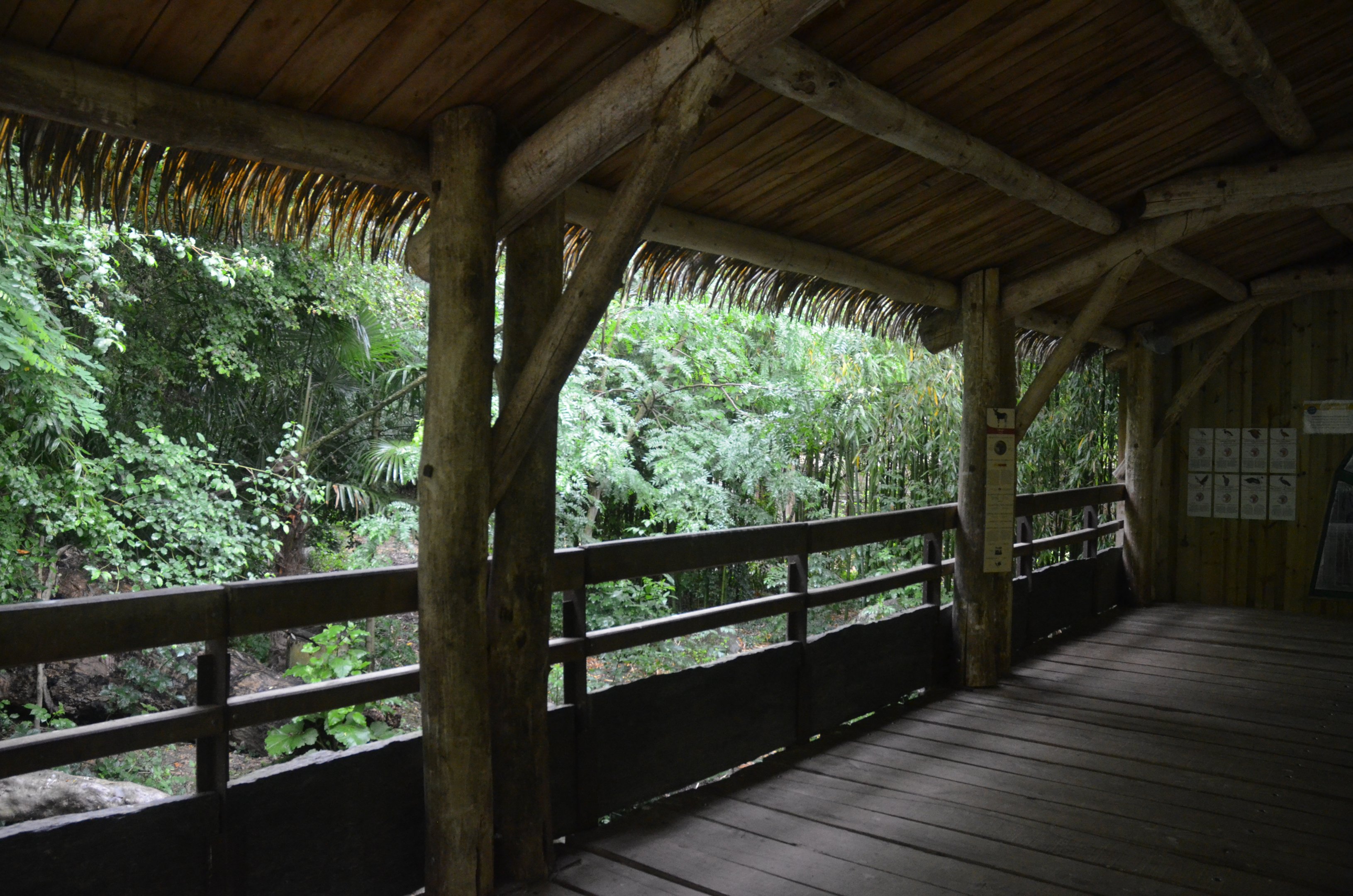 Okapi Sanctuary Aviary at Doué-la-Fontaine, 15/06/18