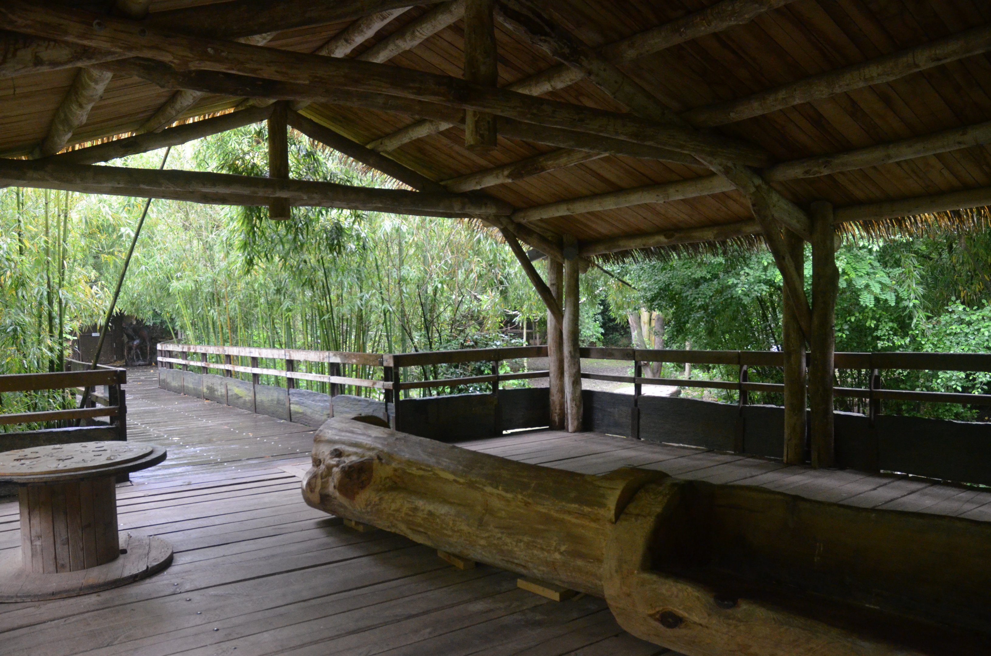 Okapi Sanctuary Aviary at Doué-la-Fontaine, 15/06/18