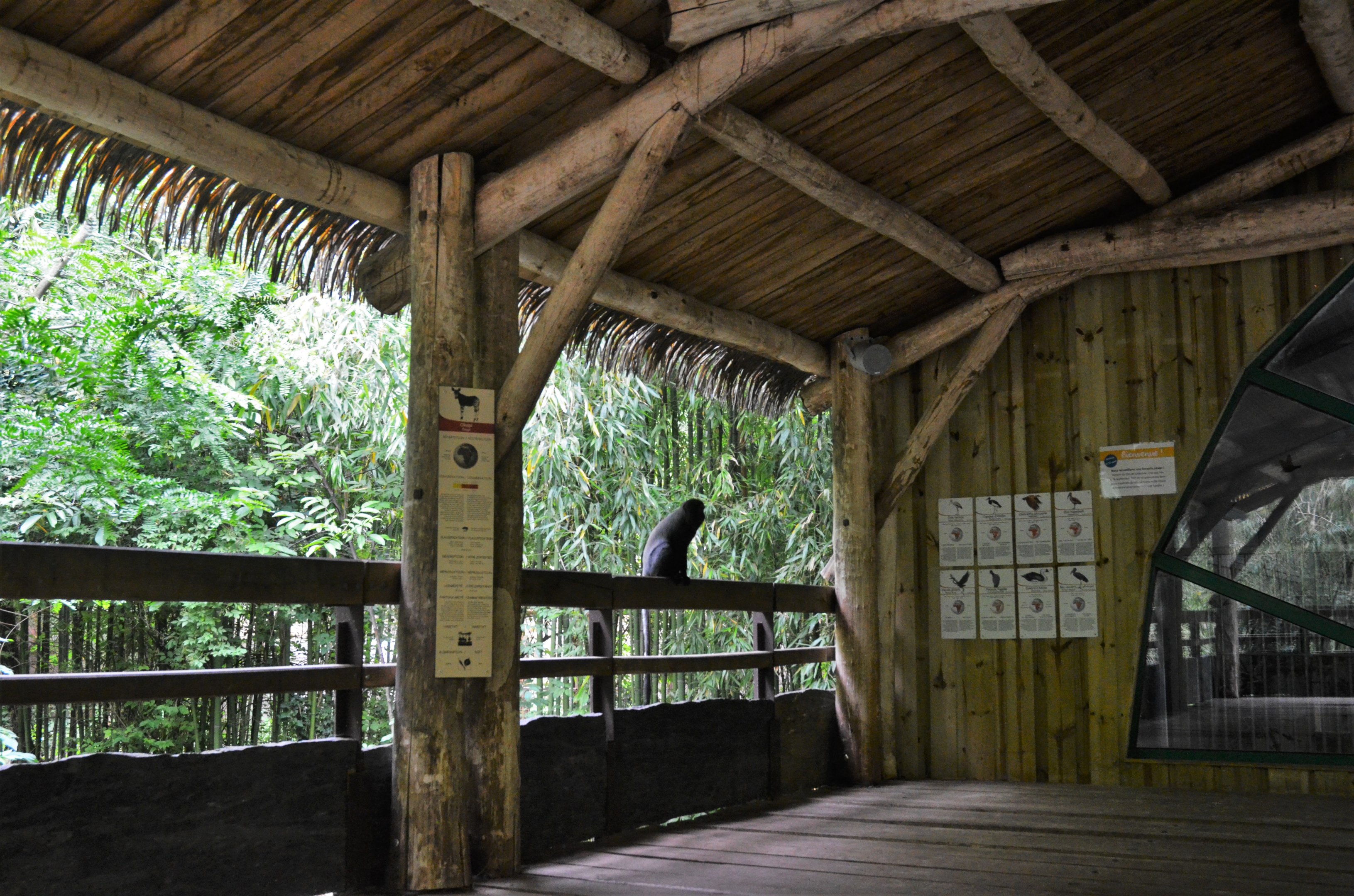 Okapi Sanctuary Aviary at Doué-la-Fontaine, 15/06/18