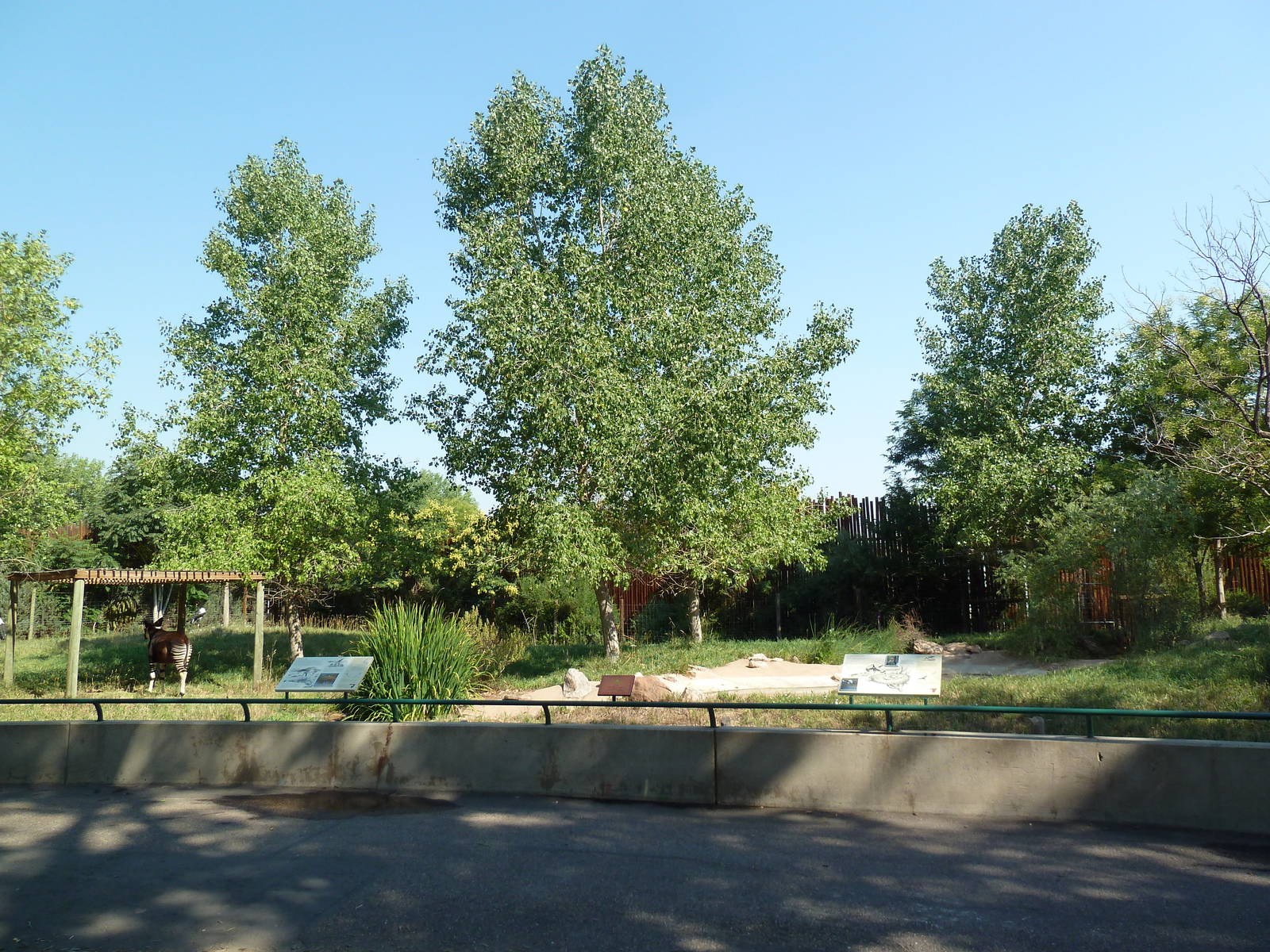 Okapi/Secretary Bird/Saddle-Billed Stork Exhibit
