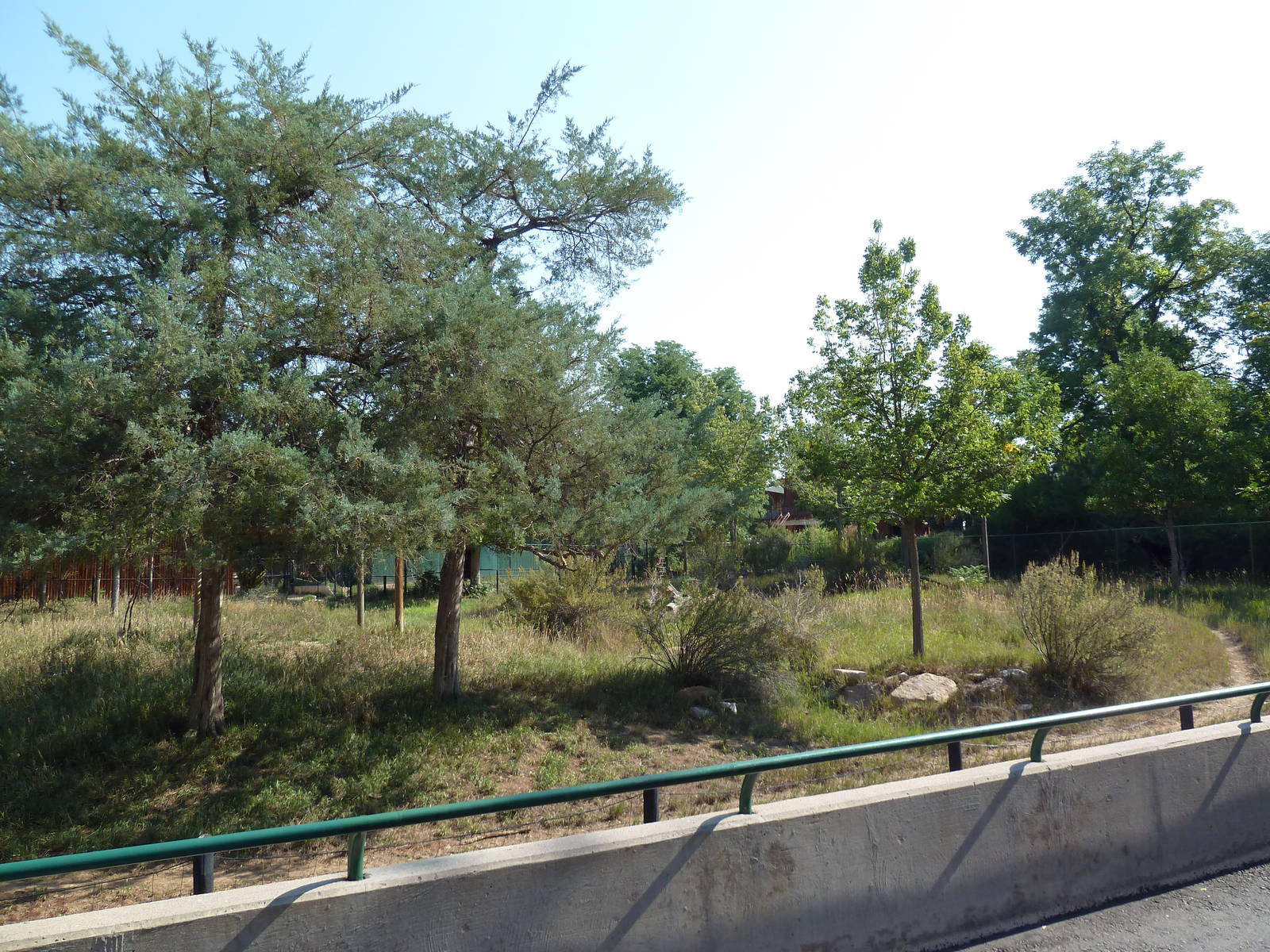 Okapi/Secretary Bird/Saddle-Billed Stork Exhibit
