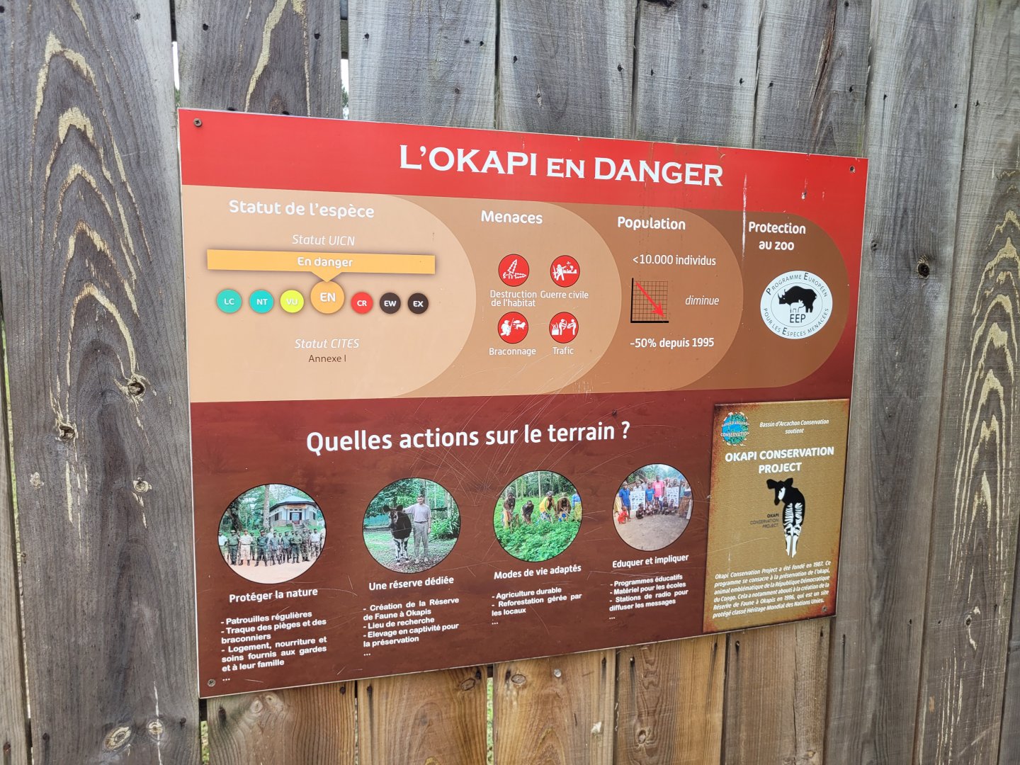 Okapi sign -Zoo du bassin d'Arcachon (2024)
