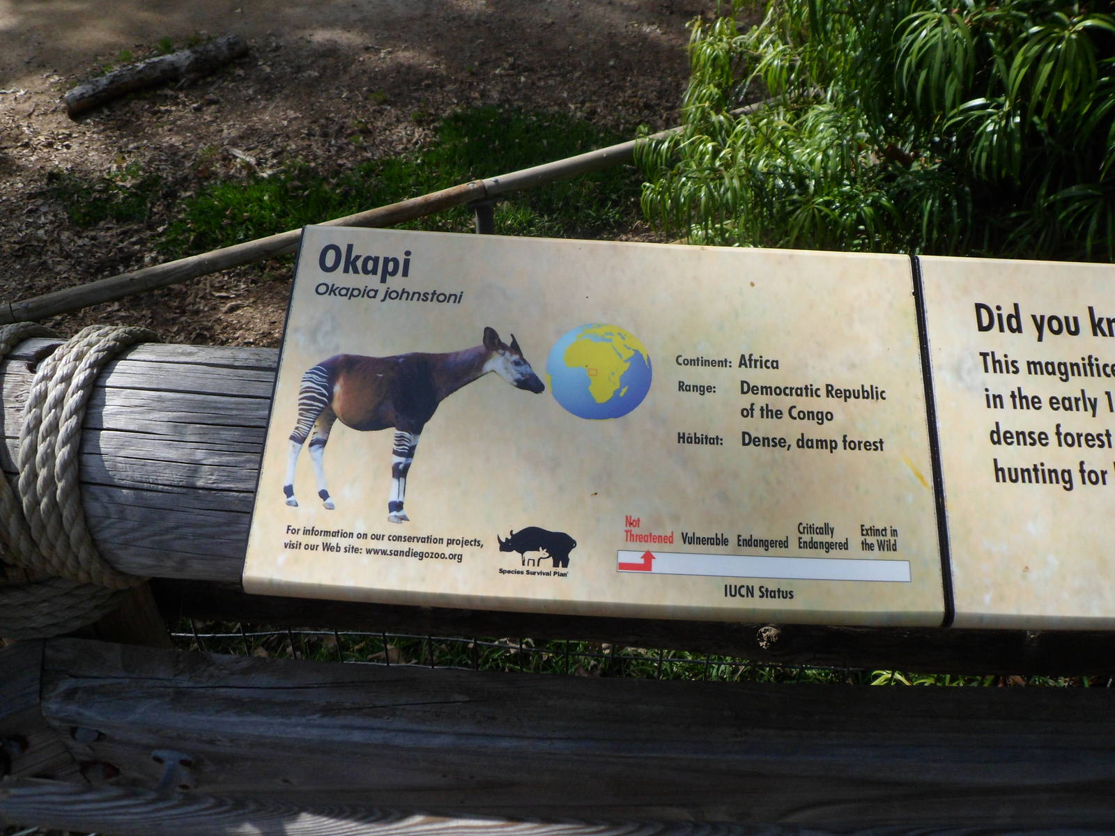 Okapi Sign