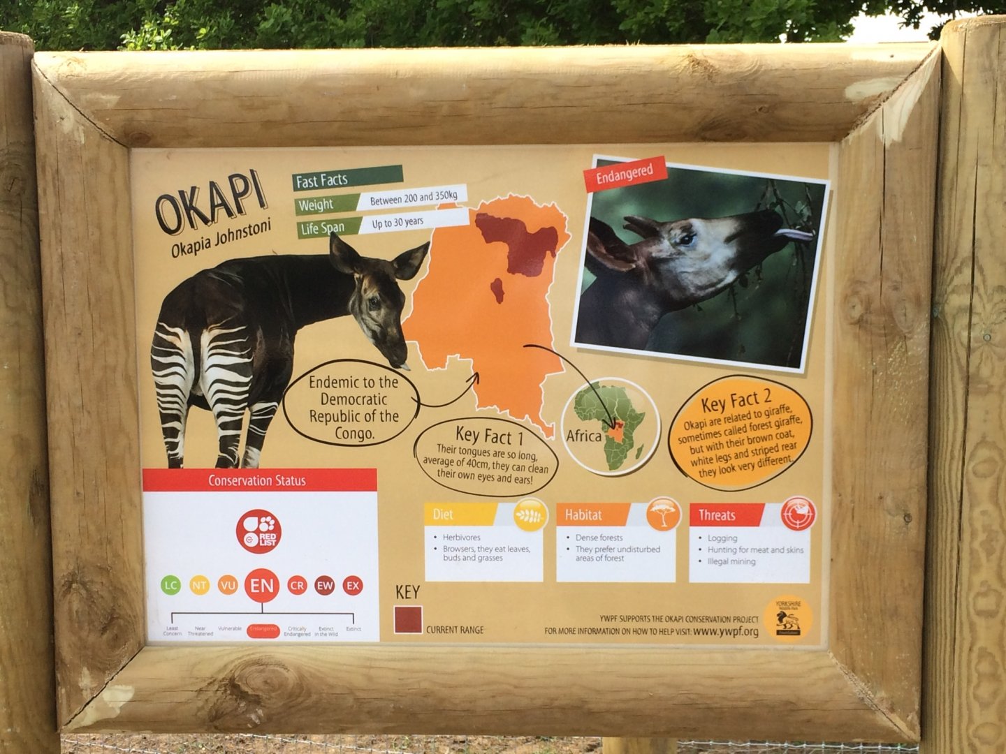 Okapi signage