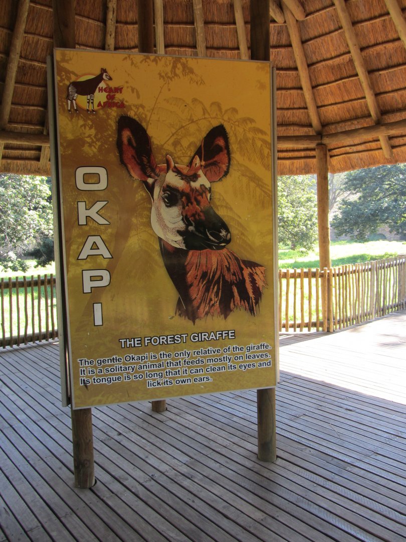 Okapi Signage