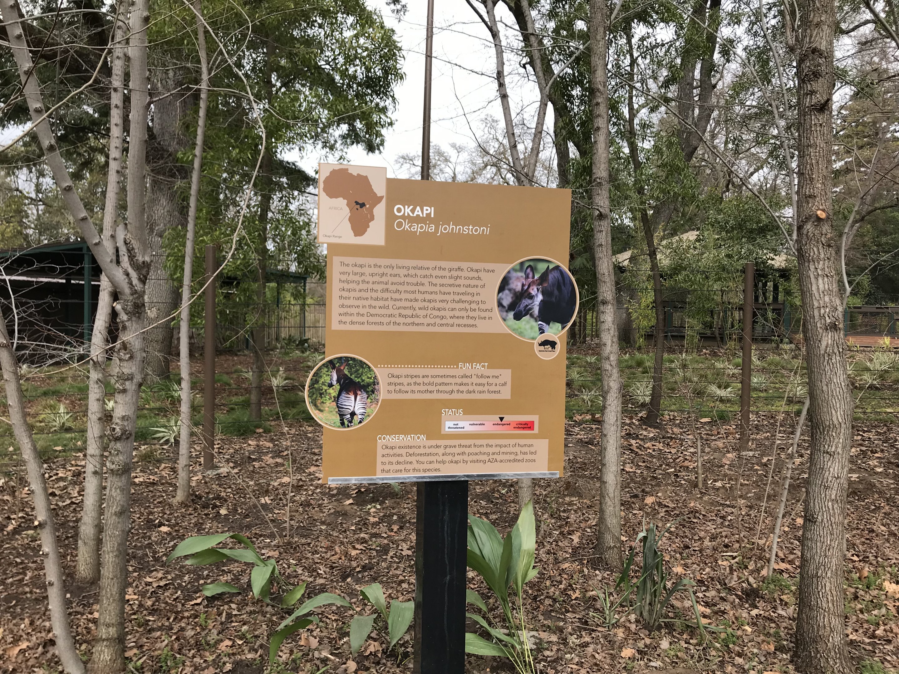 Okapi Signage