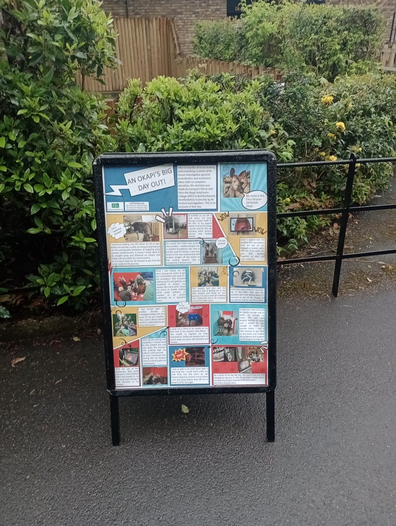 Okapi signage