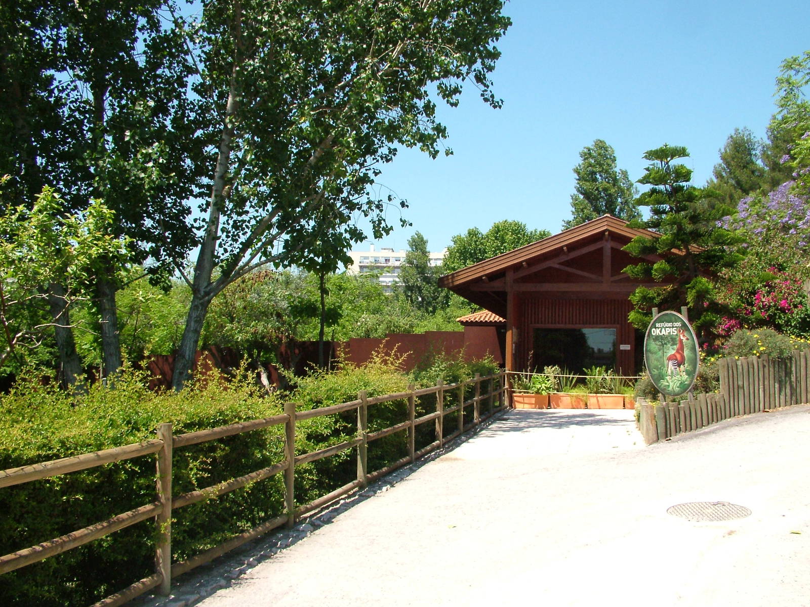 Okapi Stabling at Lisbon Zoo, 24/05/11