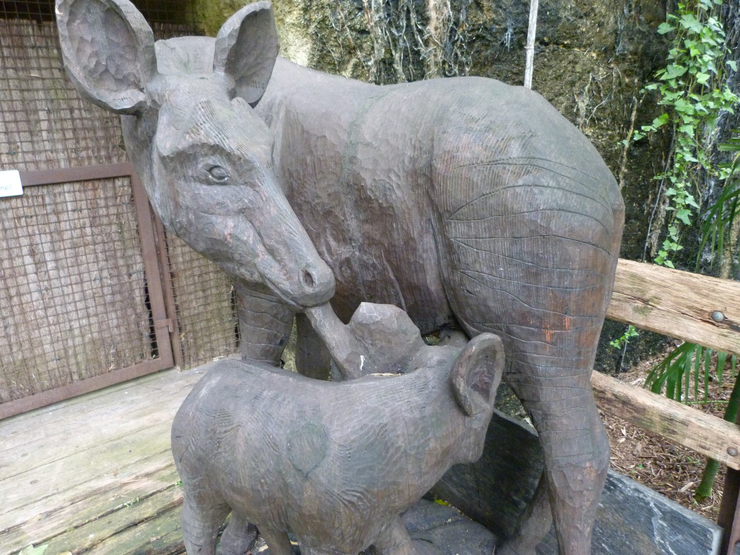 Okapi statue -Bioparc de Doué la Fontaine (2025)