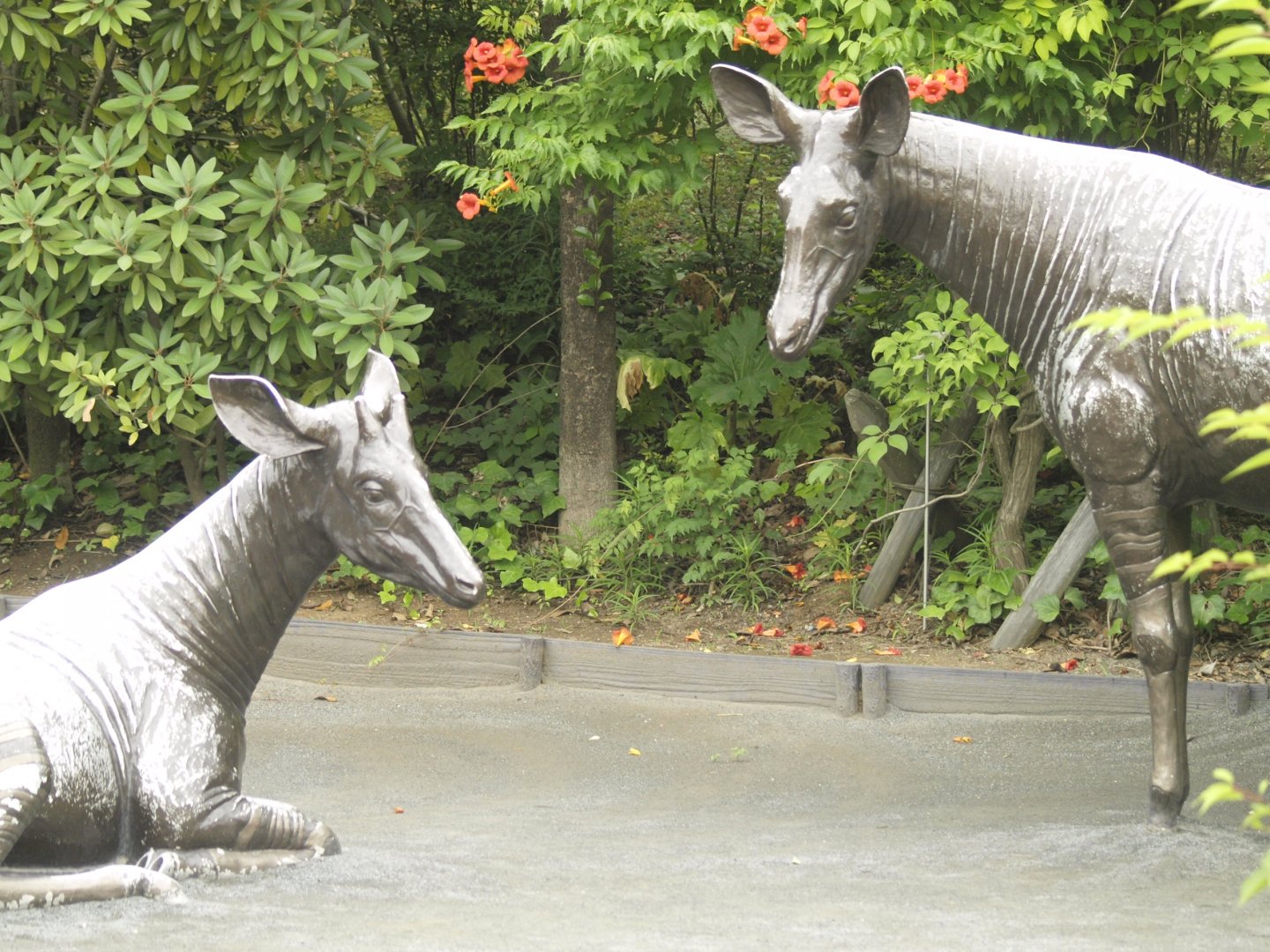 Okapi statues