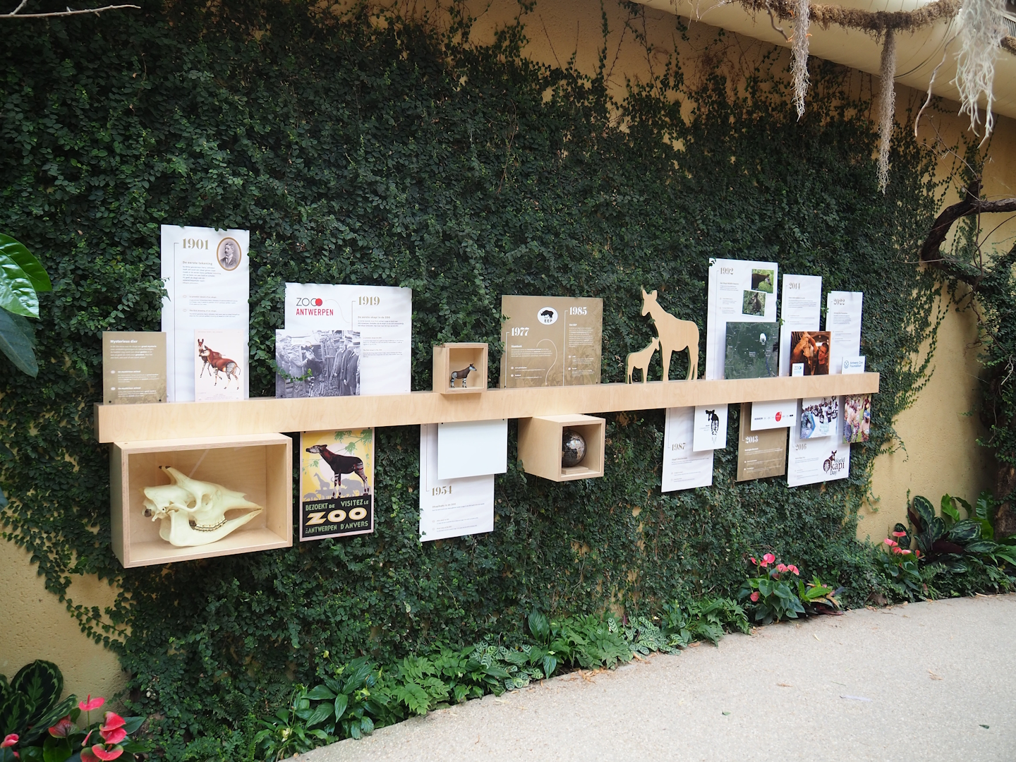 Okapi timeline educational signage, 2022-07-10