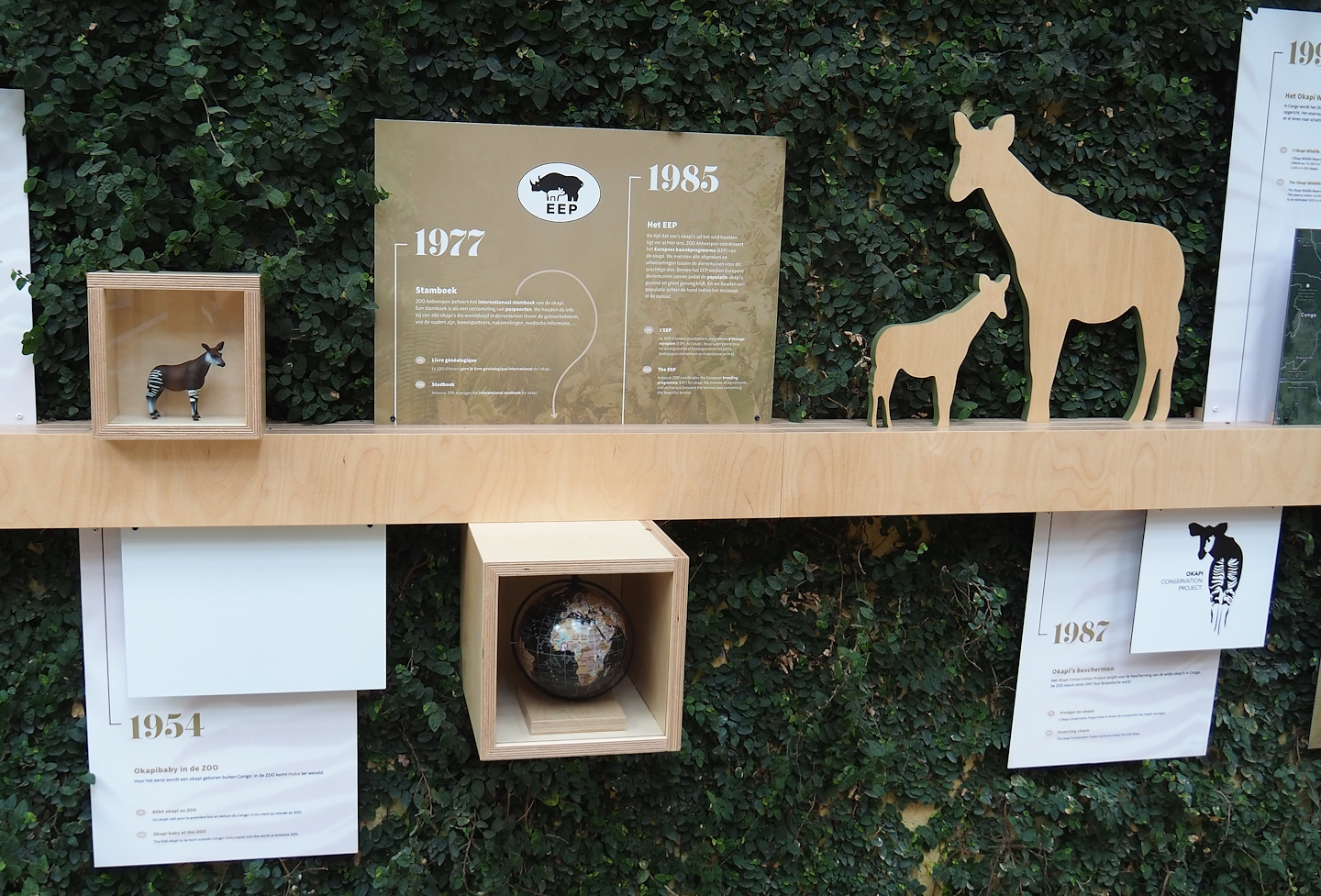 Okapi timeline educational signage, 2022-07-10