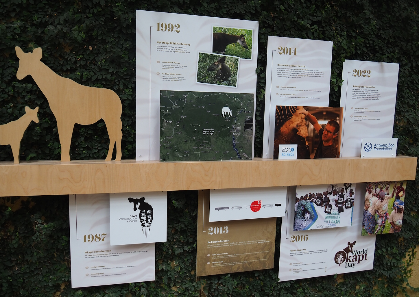 Okapi timeline educational signage, 2022-07-10