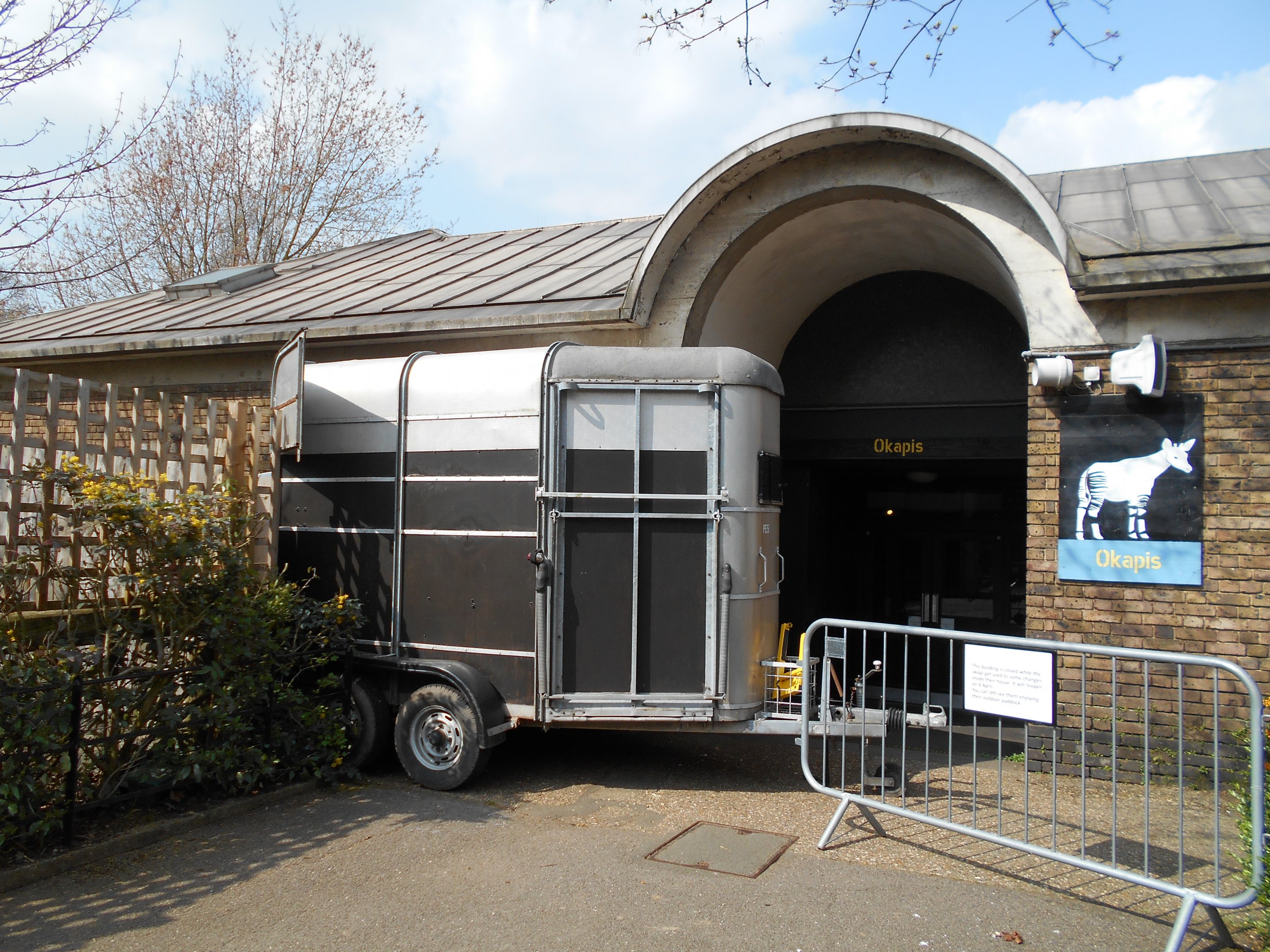 Okapi trailer 30 March 2019