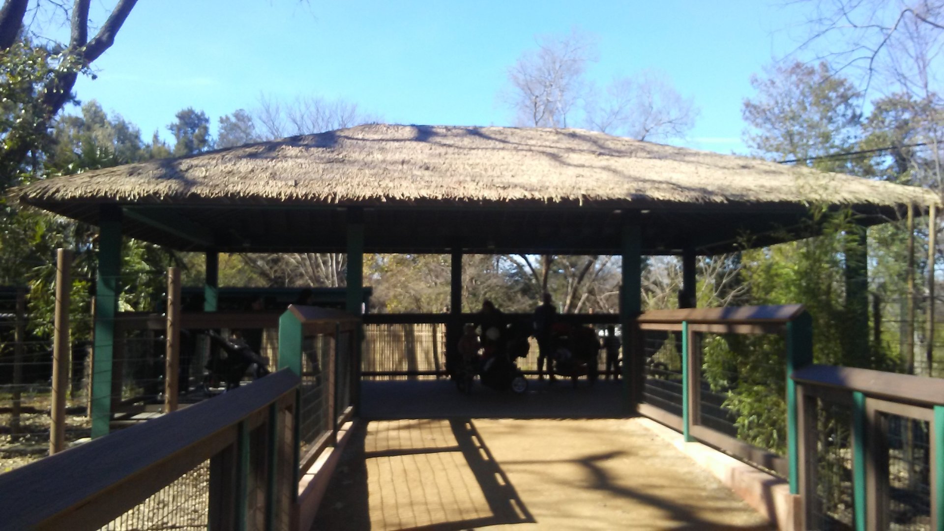 Okapi viewing deck