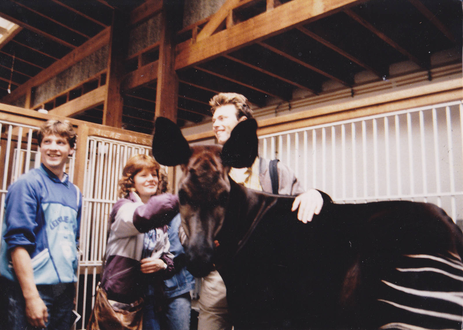 Okapi, Vogelcommando and some other well-known zoo-people