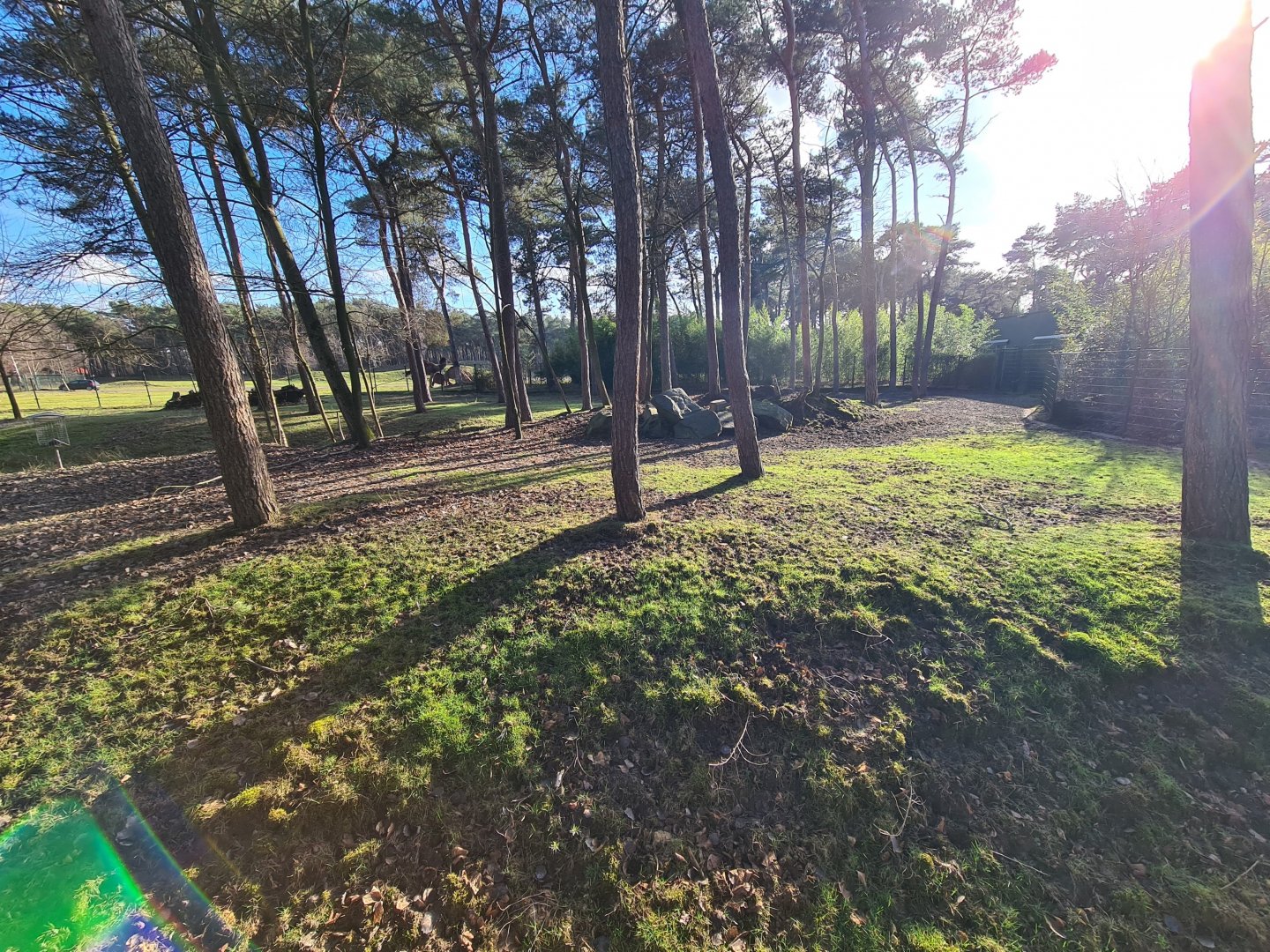 Okapi yard - Second enclosure, Right side