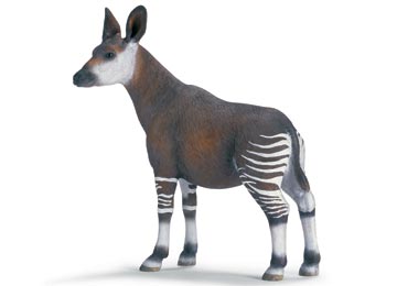 okapi