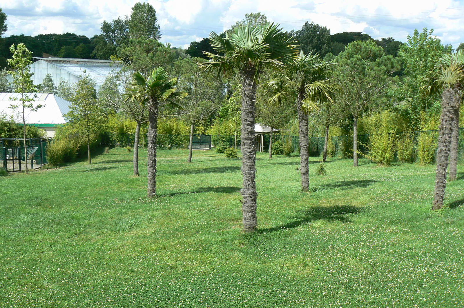 Okapis exhibit - first enclosure