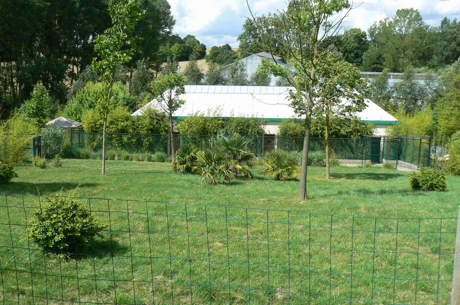 Okapis exhibit - second enclosure (the smallest) with the okapis house behi