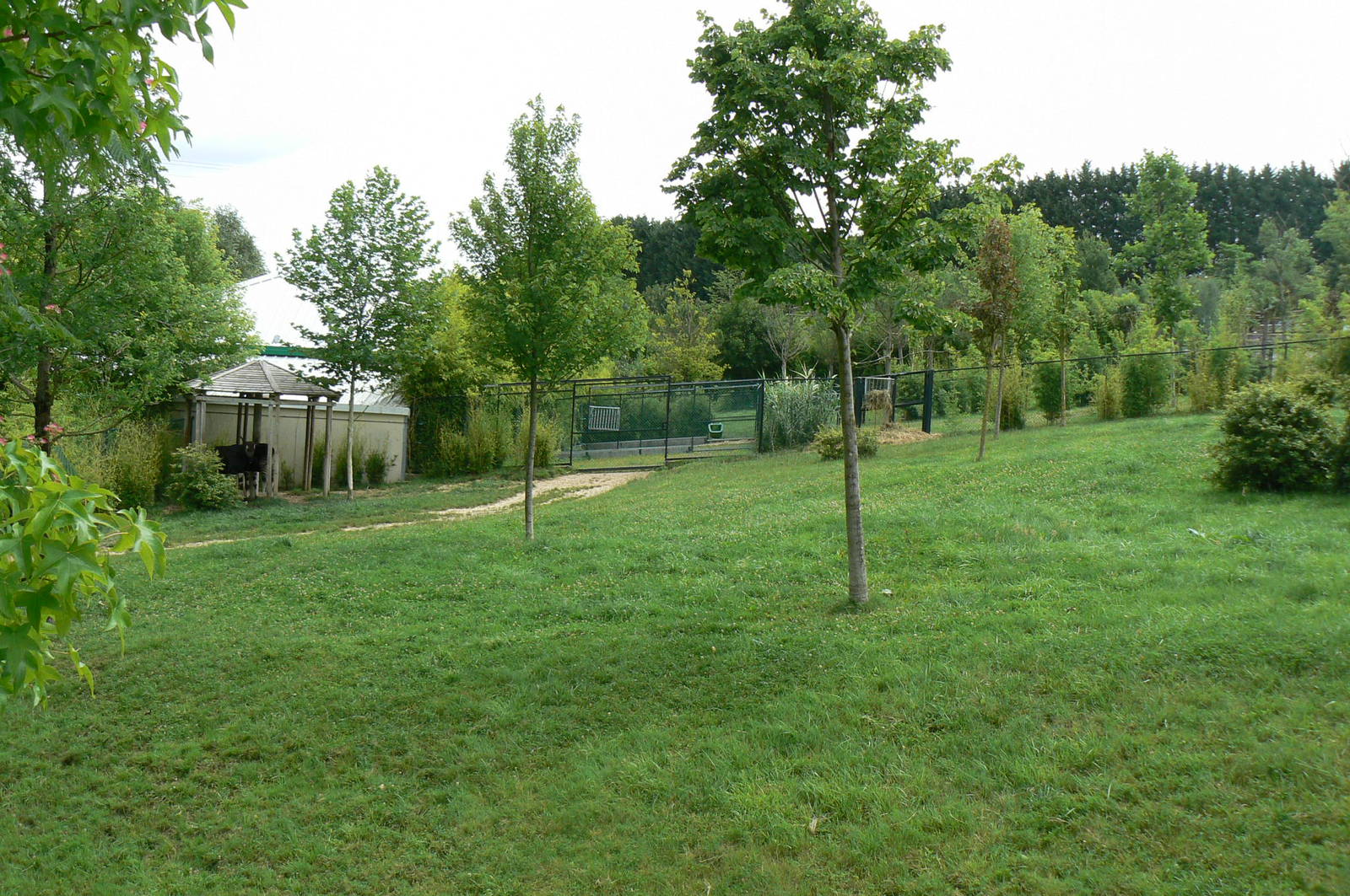 Okapis exhibit - Third enclosure
