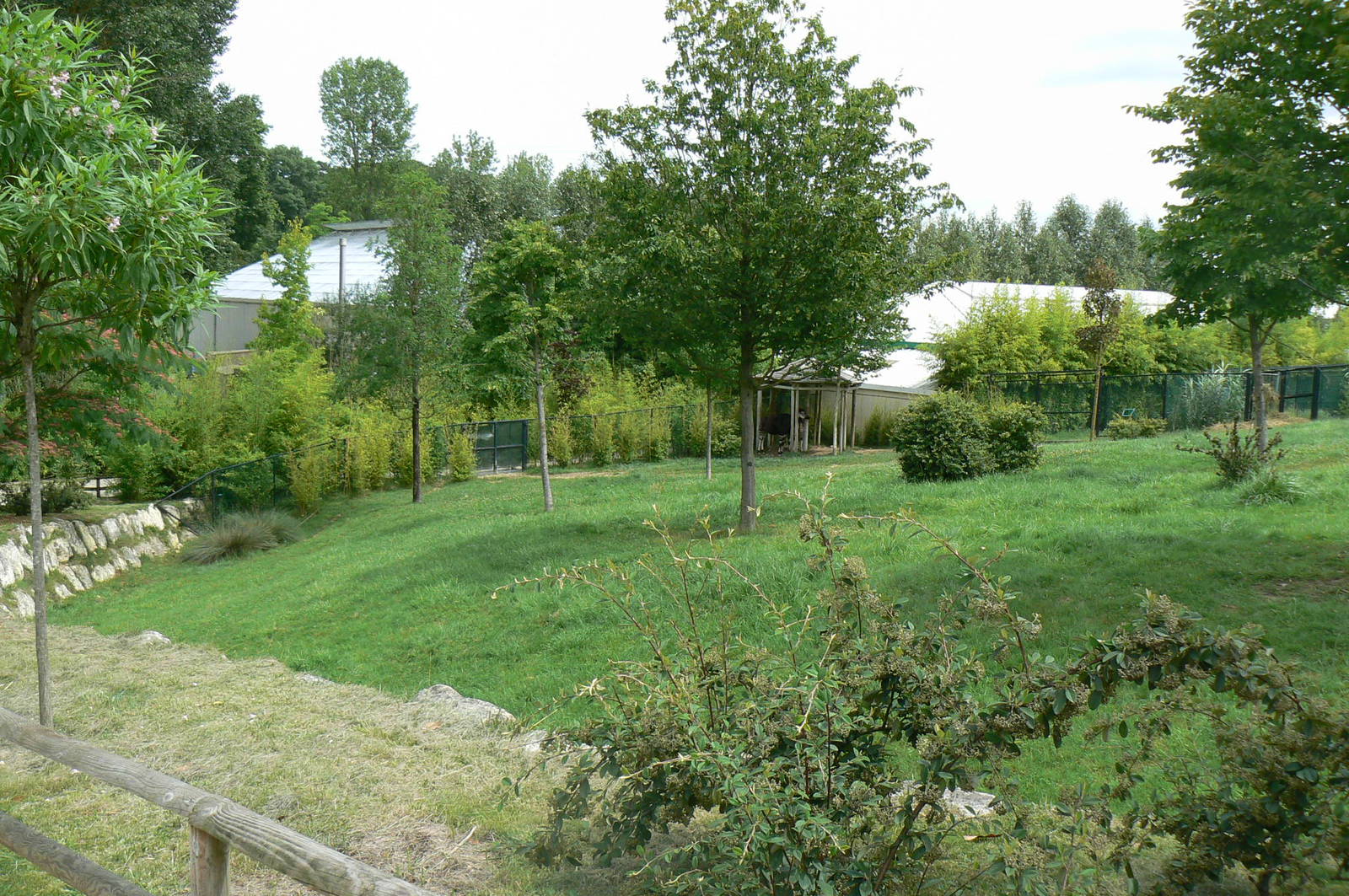 Okapis exhibit - Third enclosure