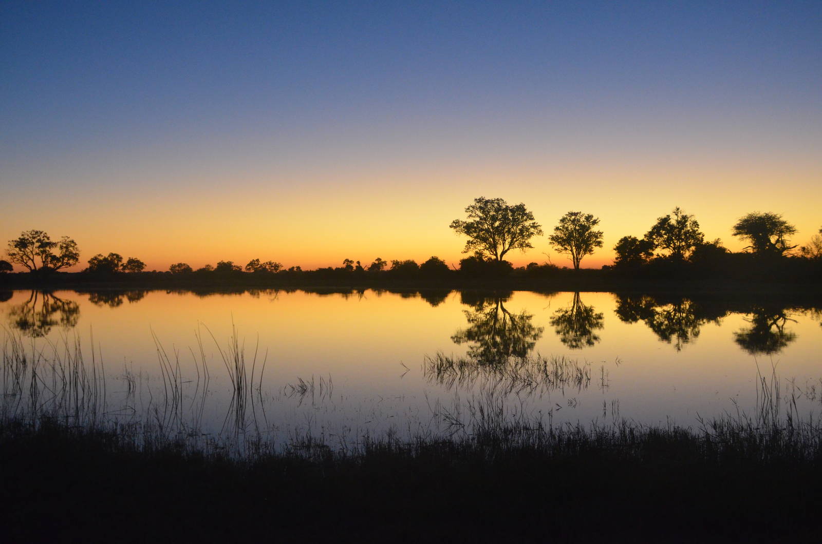 Okavango Dawn, Moremi Game Reserve, Botswana, 29/04/16