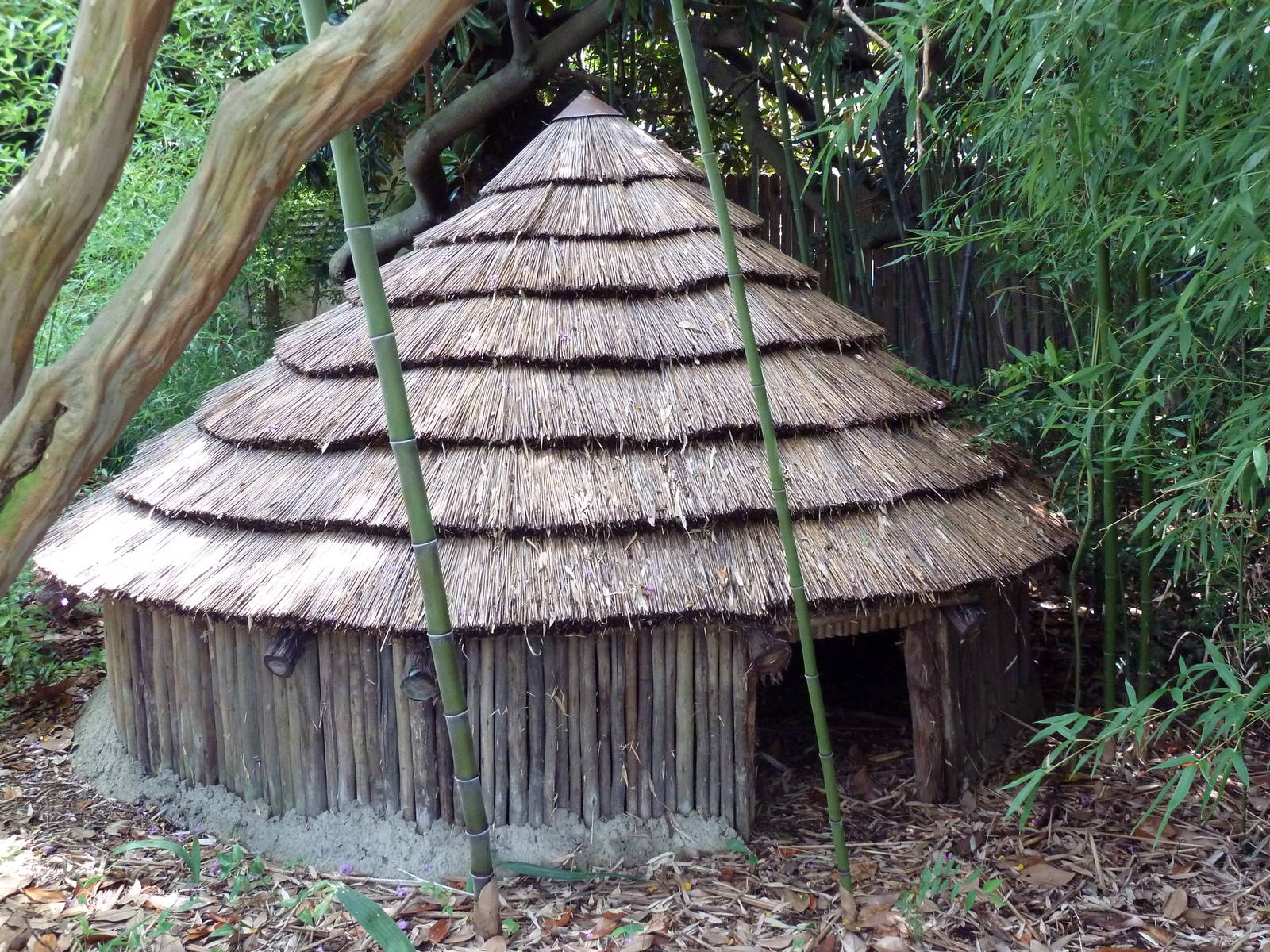 Okavango Delta - African Home