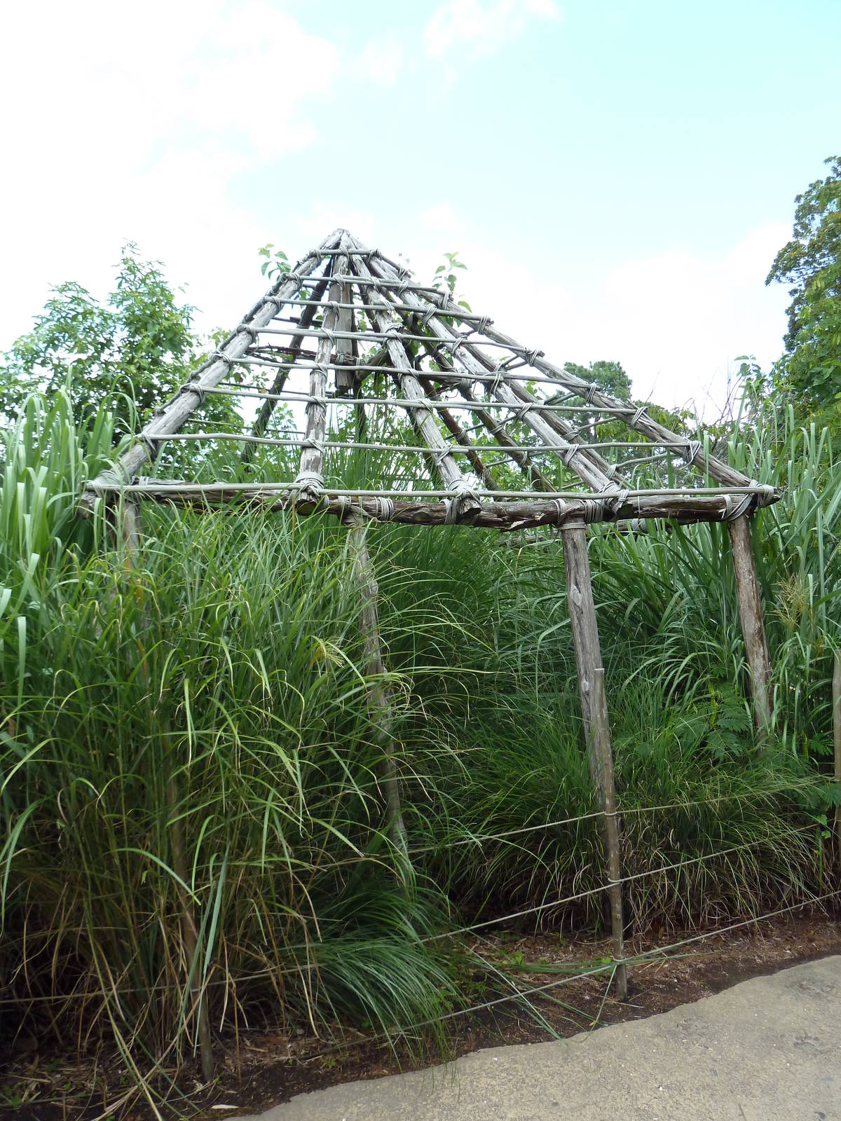 Okavango Delta - African Home