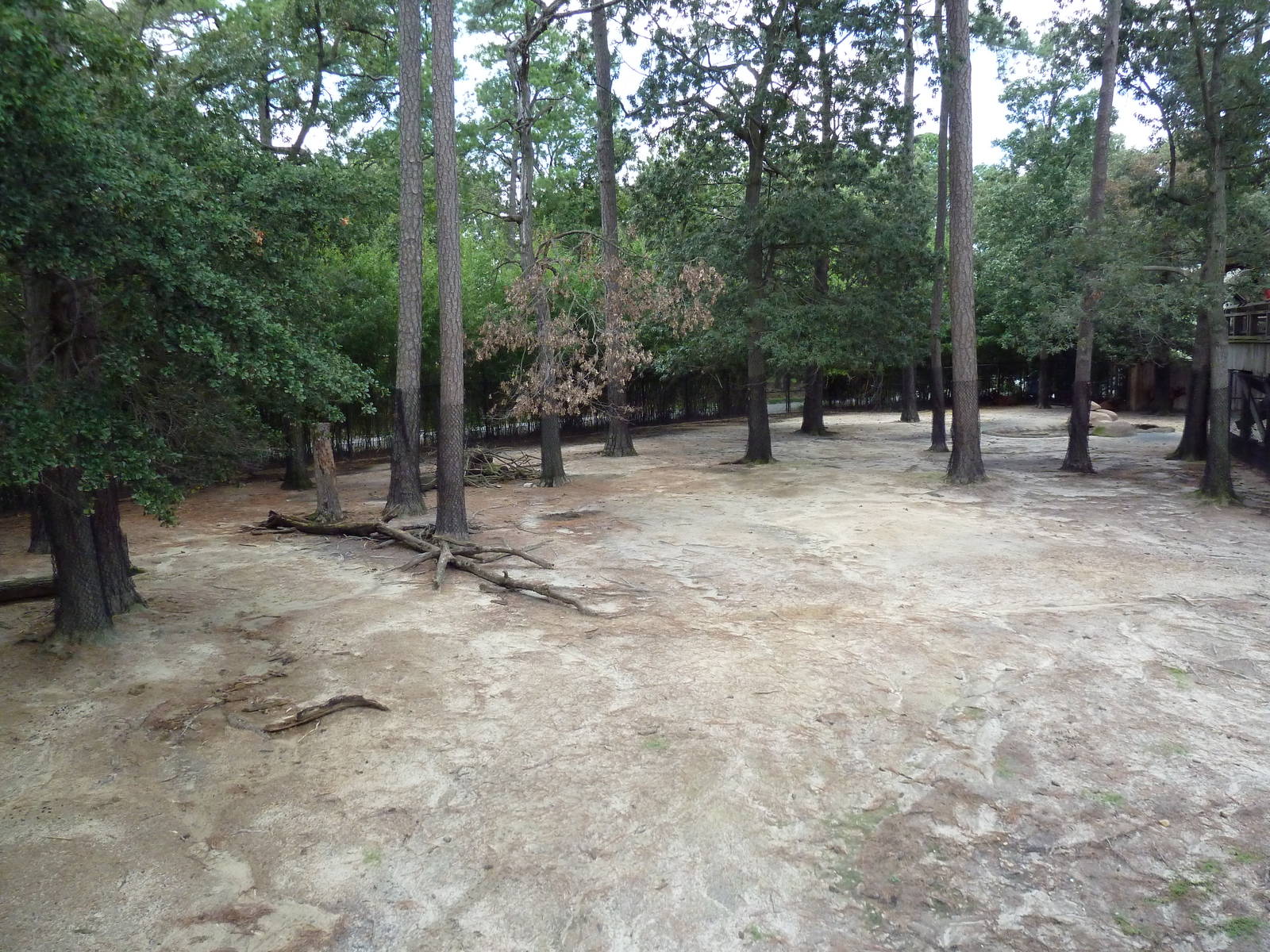 Okavango Delta - Bongo/Crowned Crane Exhibit