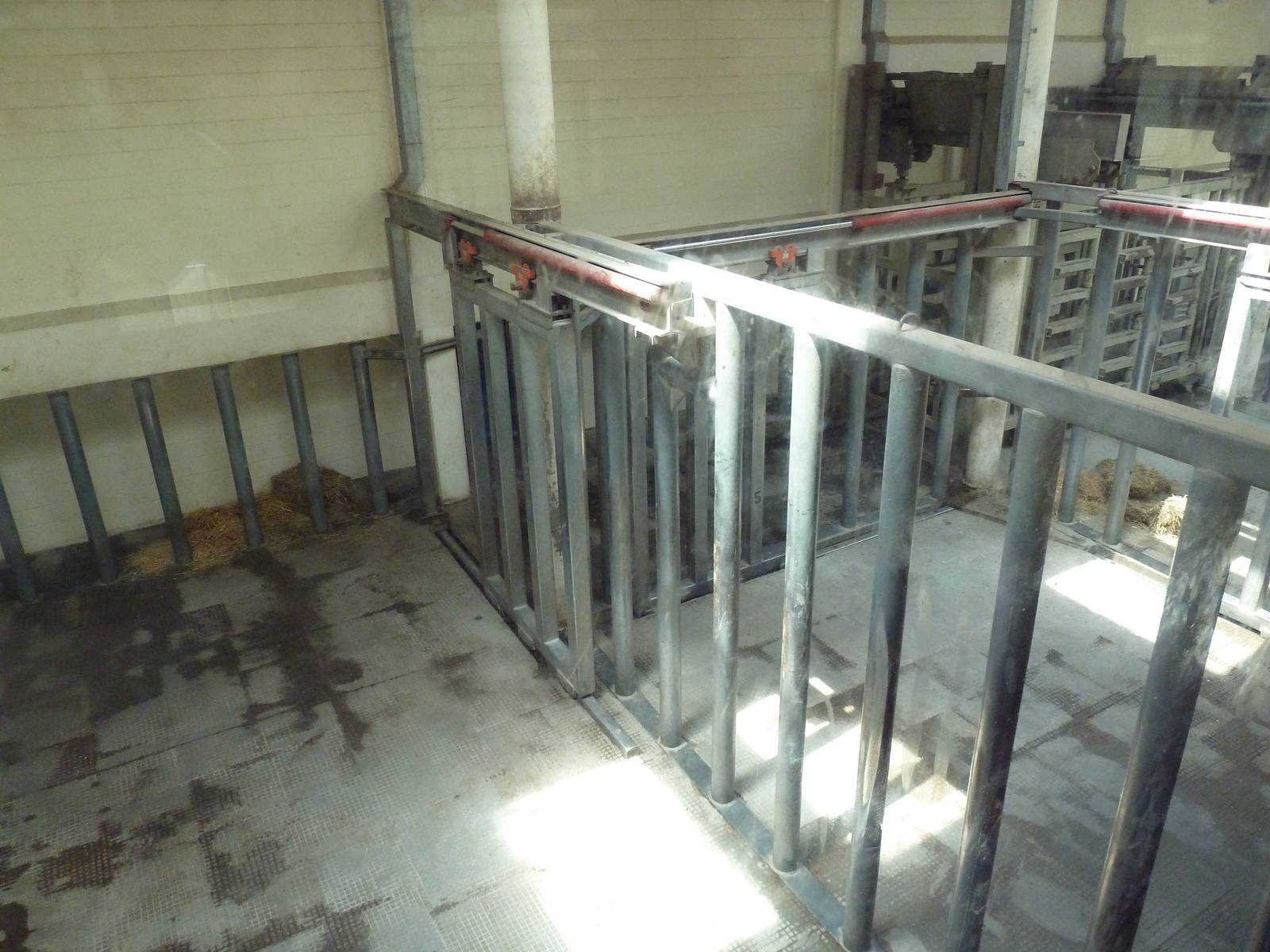 Okavango Delta - Elephant Barn