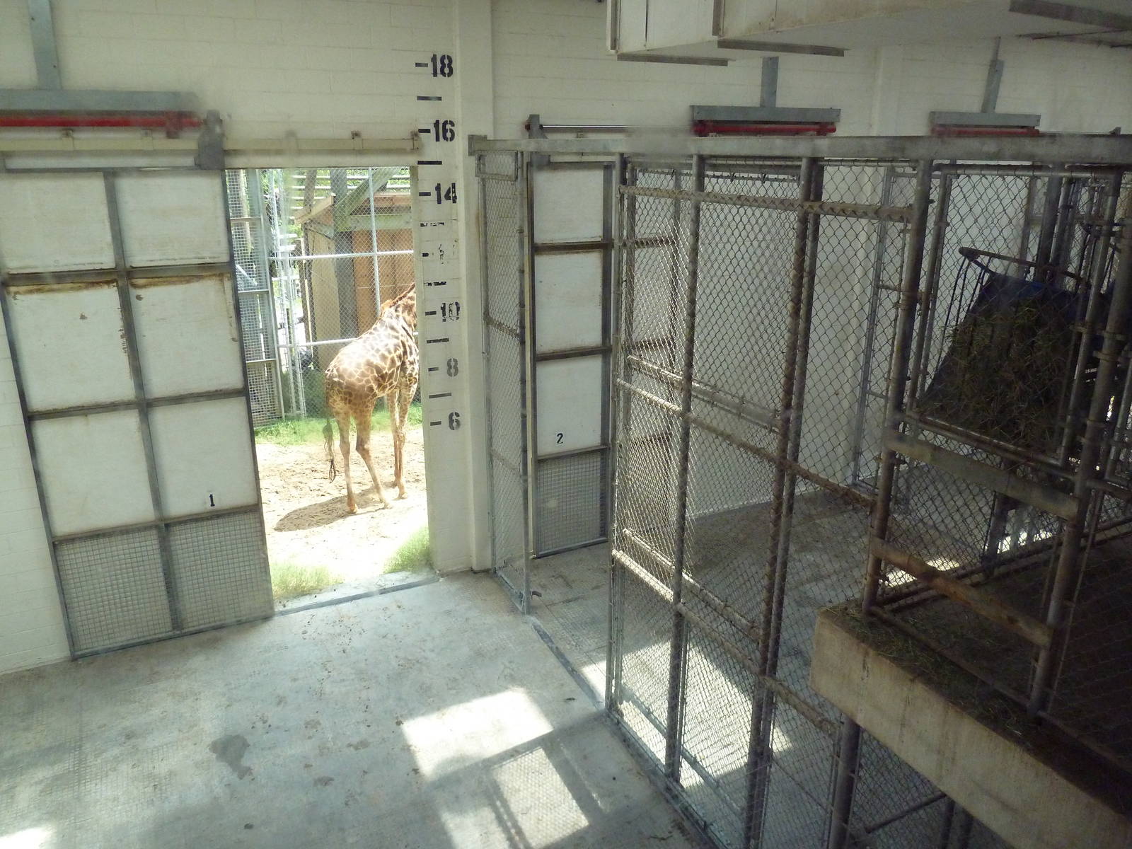 Okavango Delta - Giraffe Barn