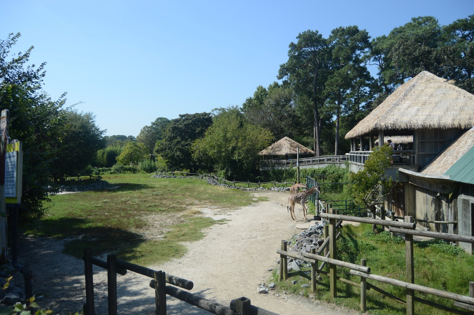 Okavango Delta - Giraffe Exhibit