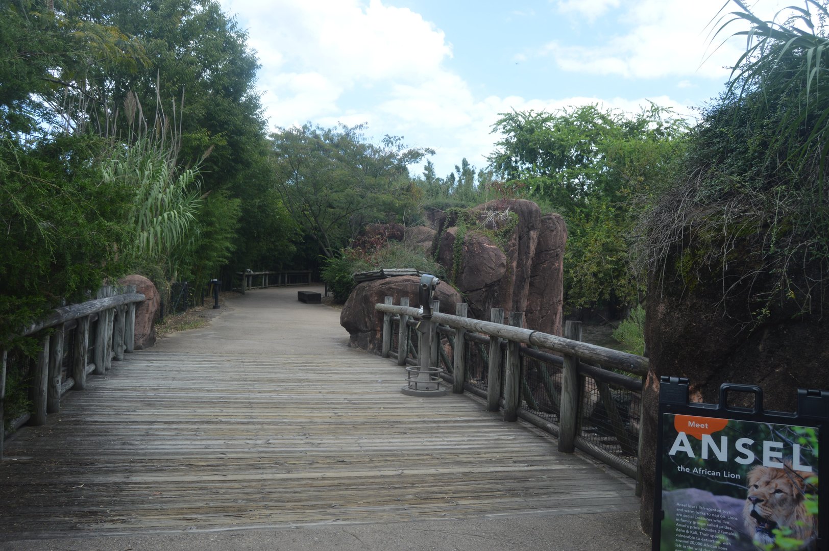 Okavango Delta - Landscape and Scenery