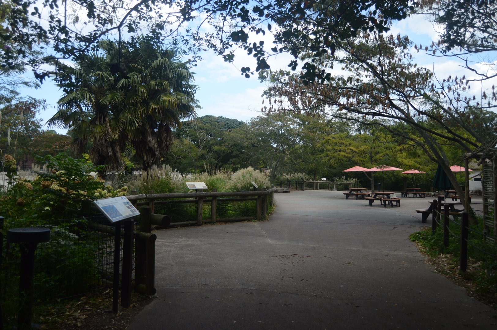Okavango Delta - Landscape and Scenery