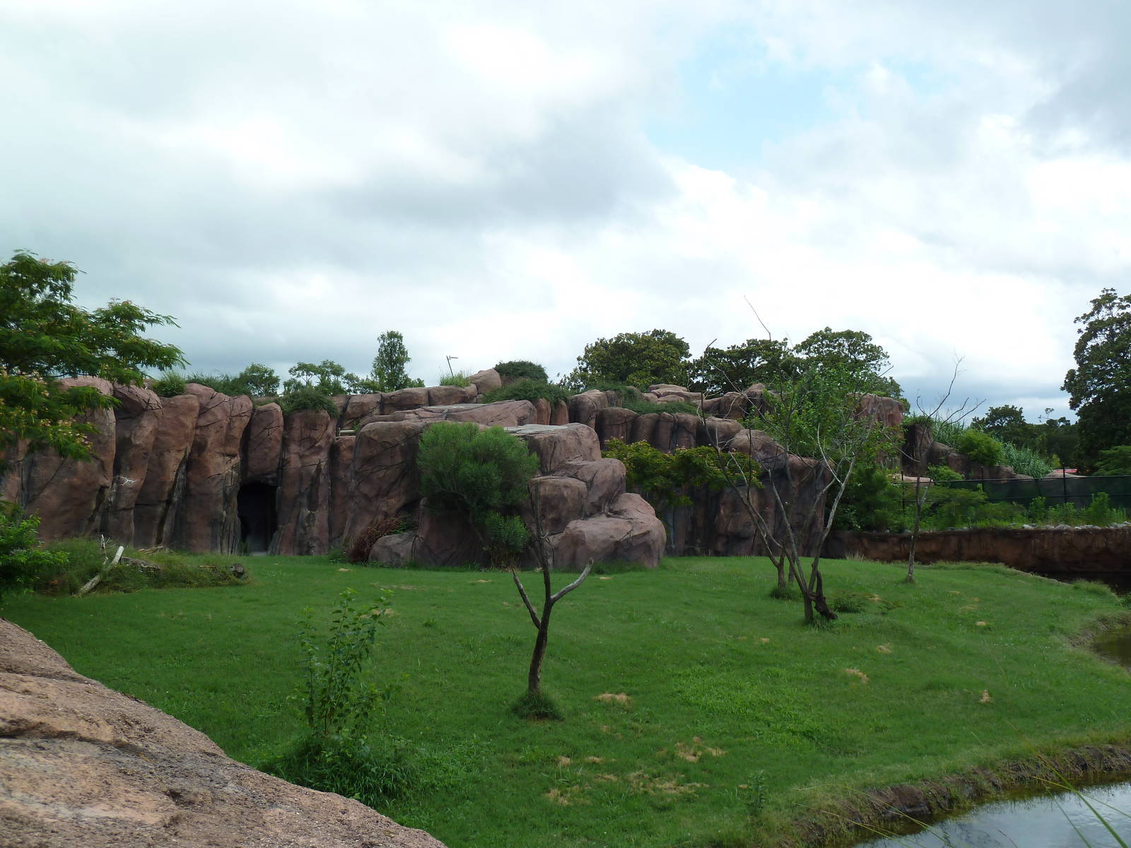 Okavango Delta - Lion Exhibit