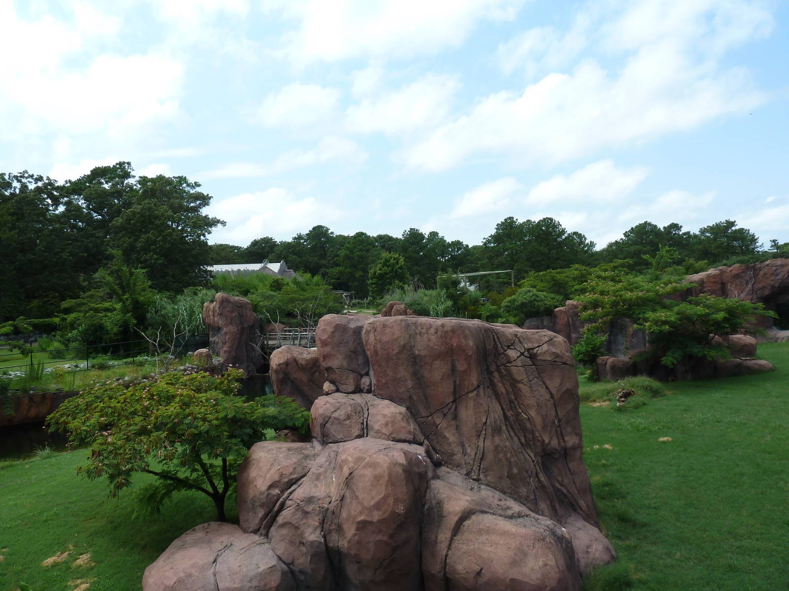 Okavango Delta - Lion Exhibit