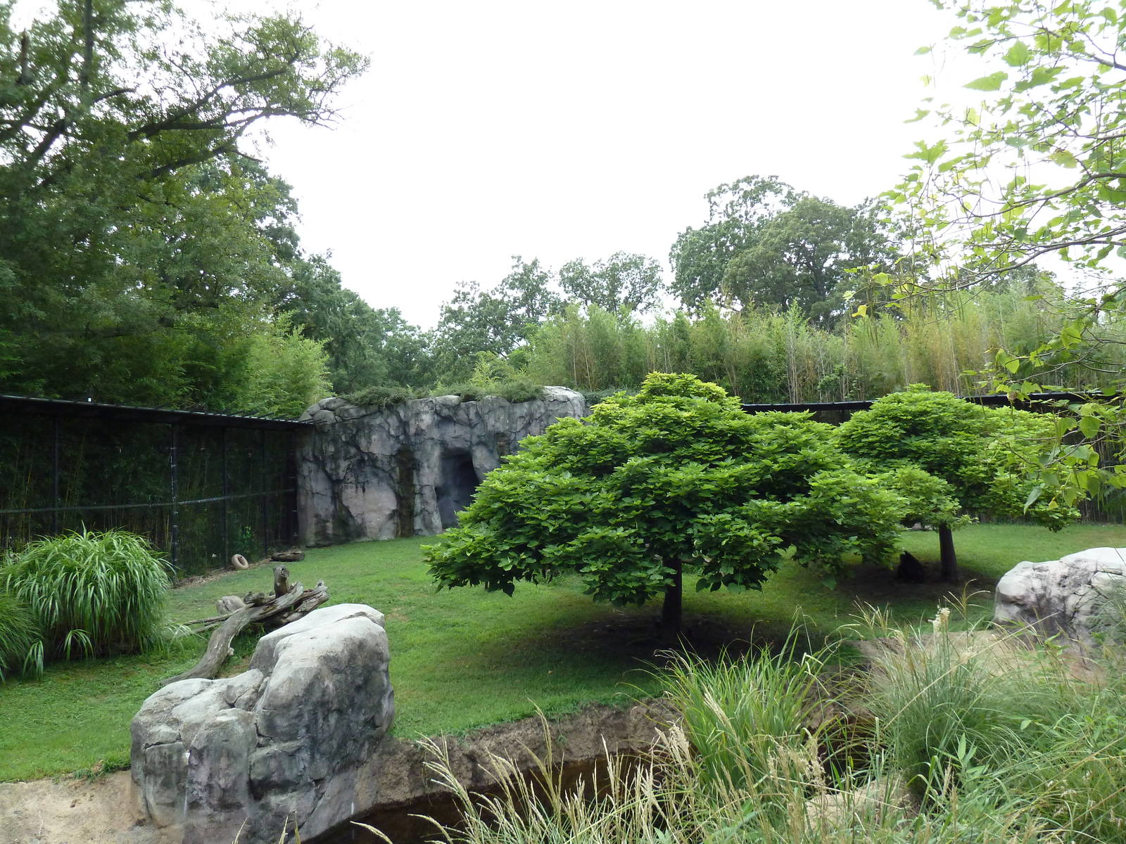 Okavango Delta - Mandrill Exhibit