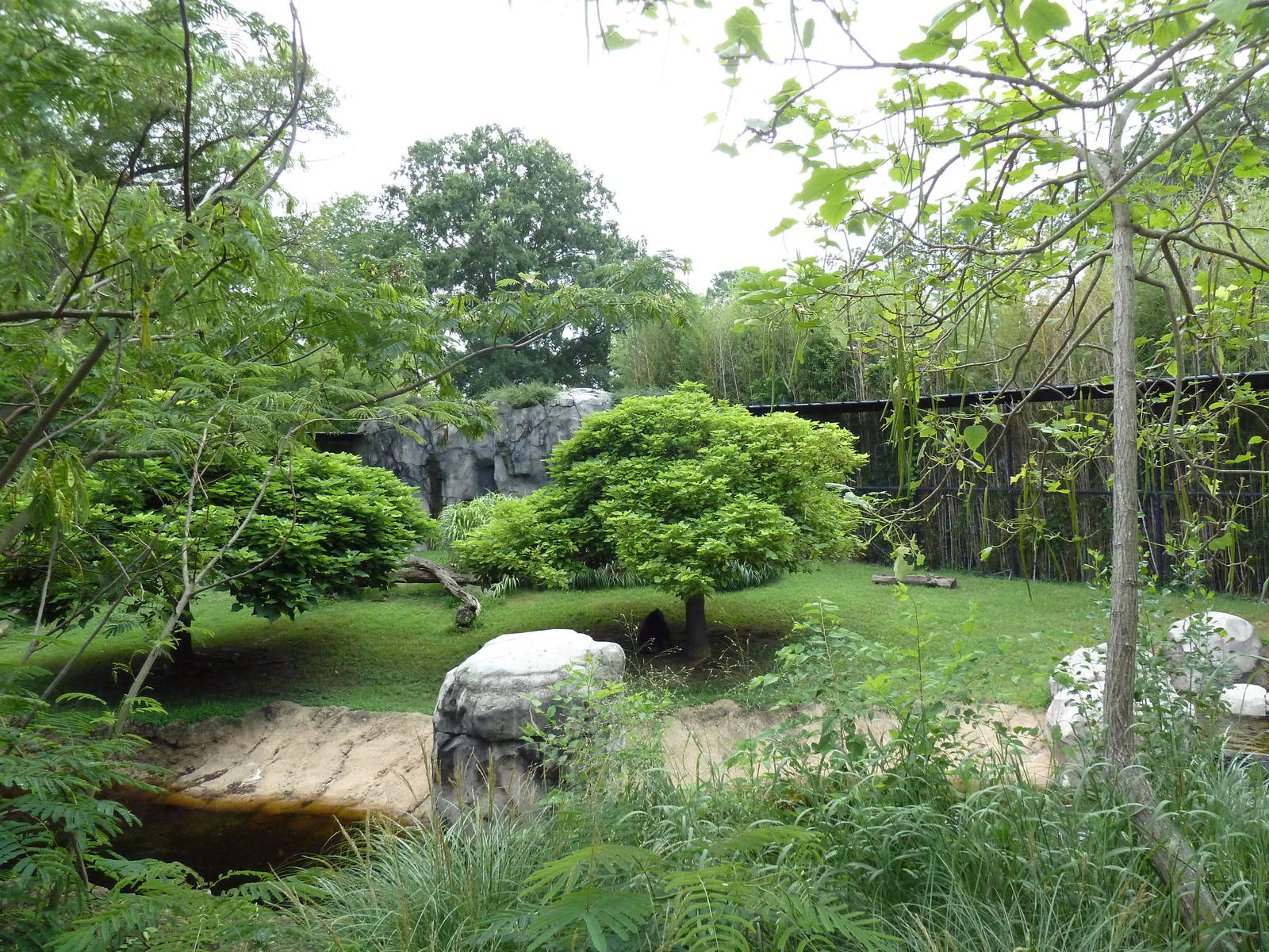 Okavango Delta - Mandrill Exhibit