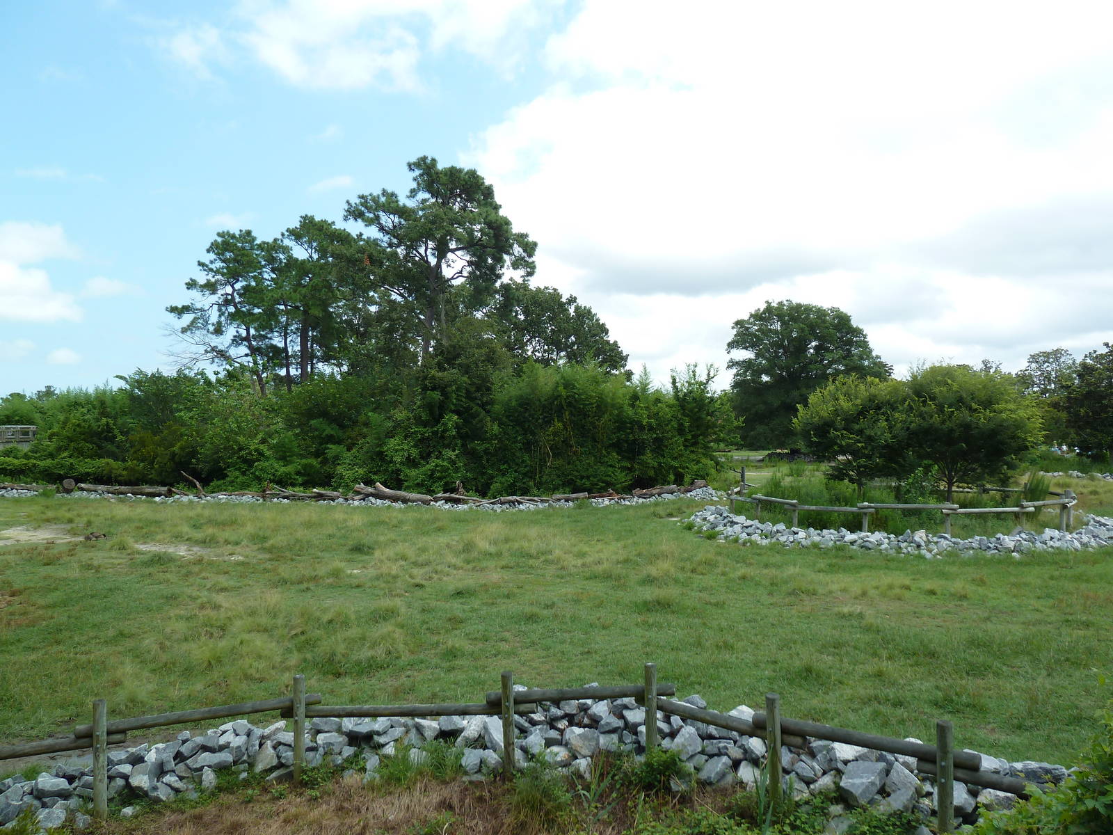 Okavango Delta - Masai Giraffe/Ostrich/Southern Ground Hornbill Exhibit