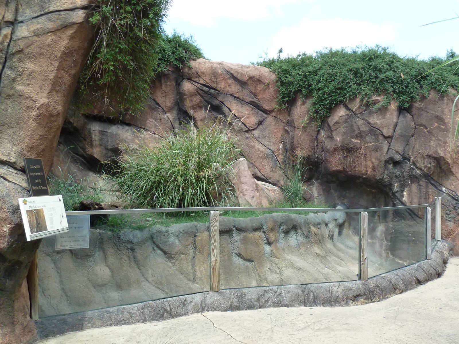 Okavango Delta - Meerkat Exhibit