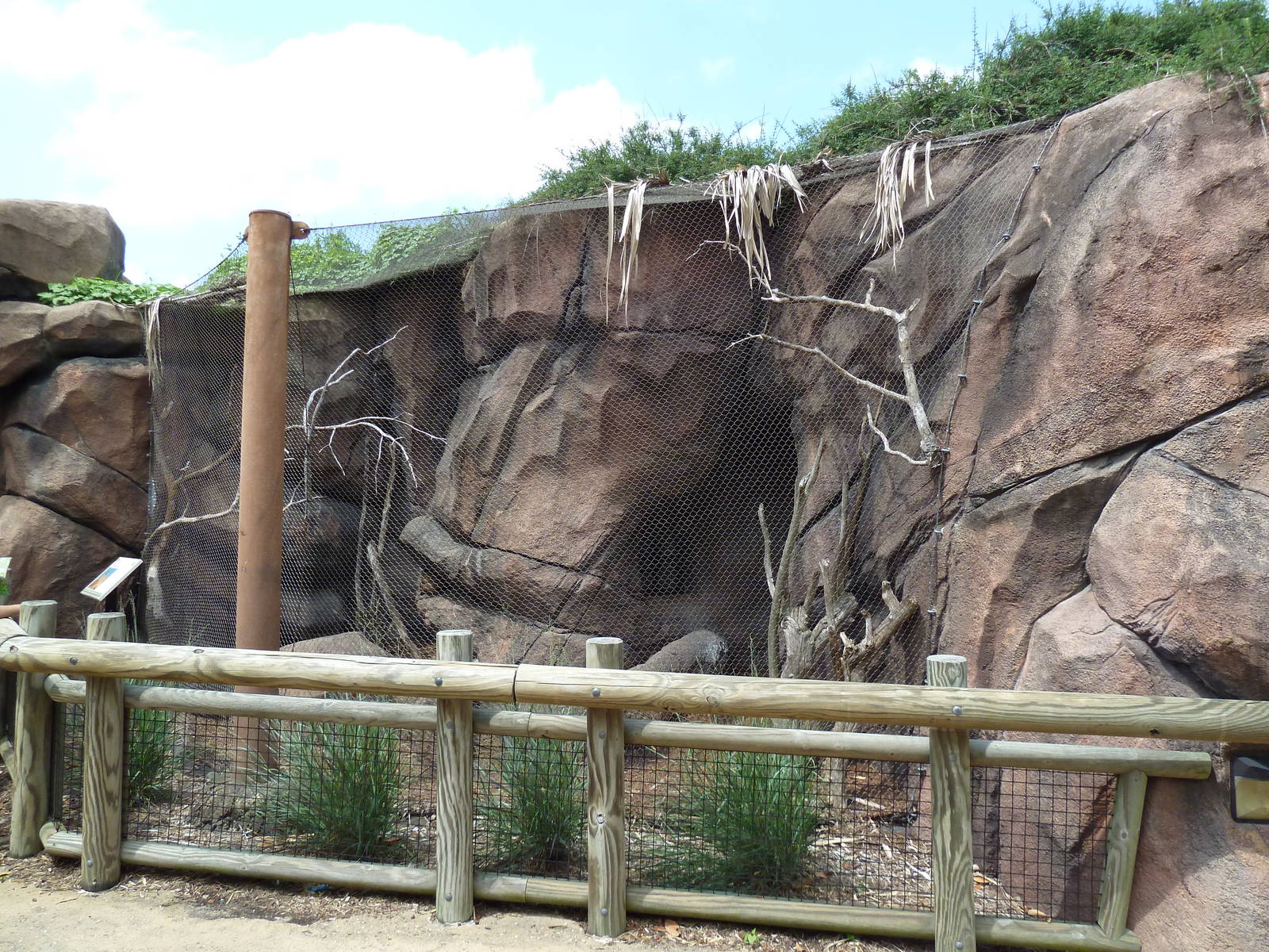 Okavango Delta - Rock Hyrax Exhibit