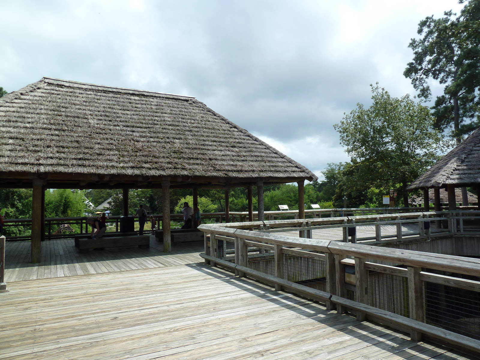 Okavango Delta - Visitor Boardwalk