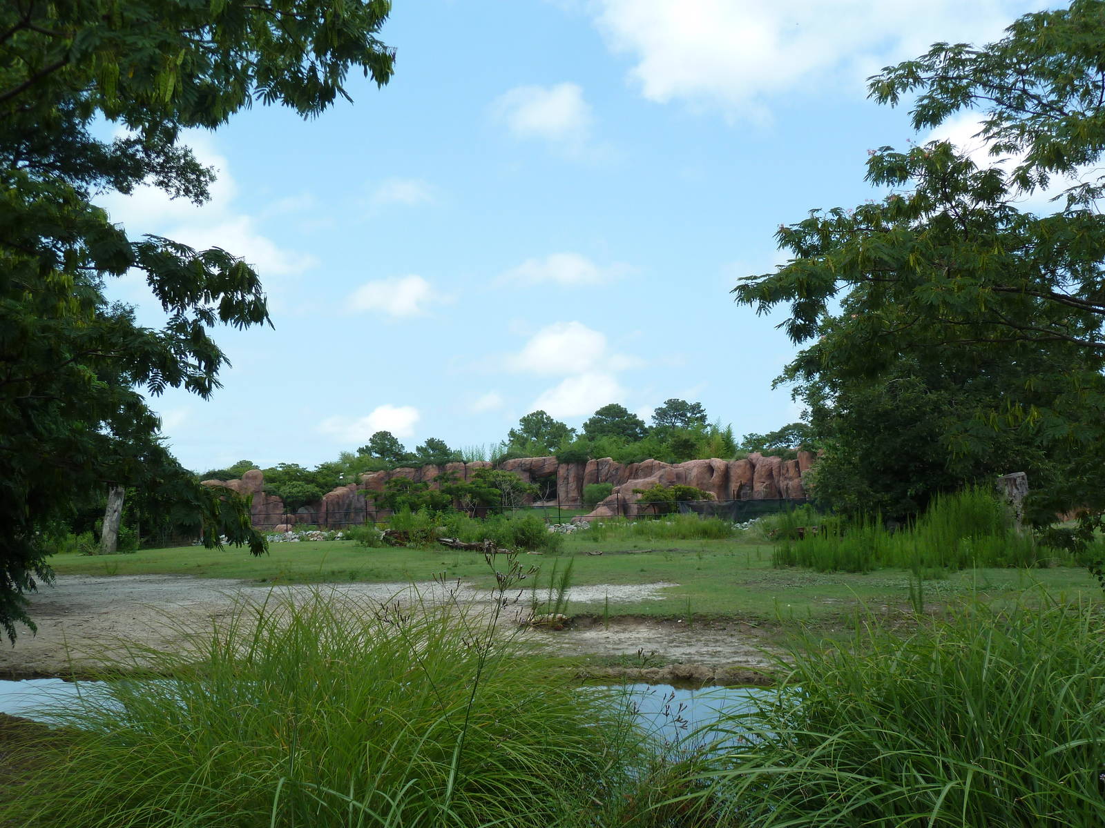 Okavango Delta - White Rhino/Grevy's Zebra Exhibit