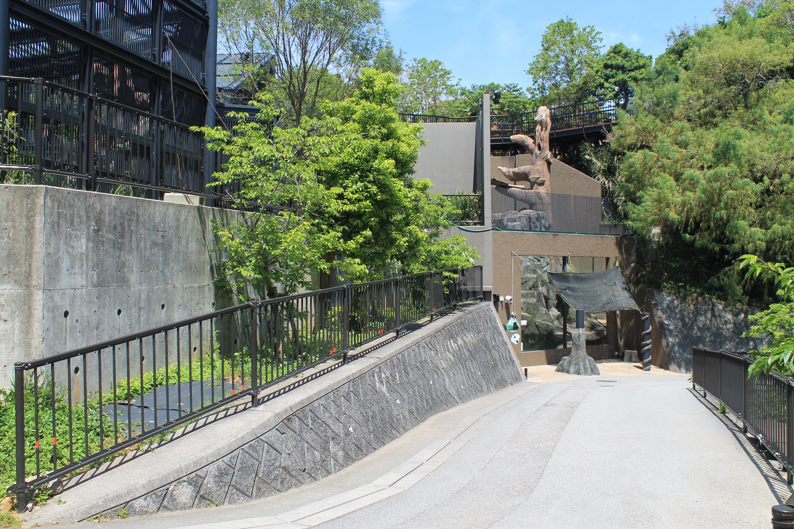 Okinawa Zoo - Asiatic Black Bear enclosure