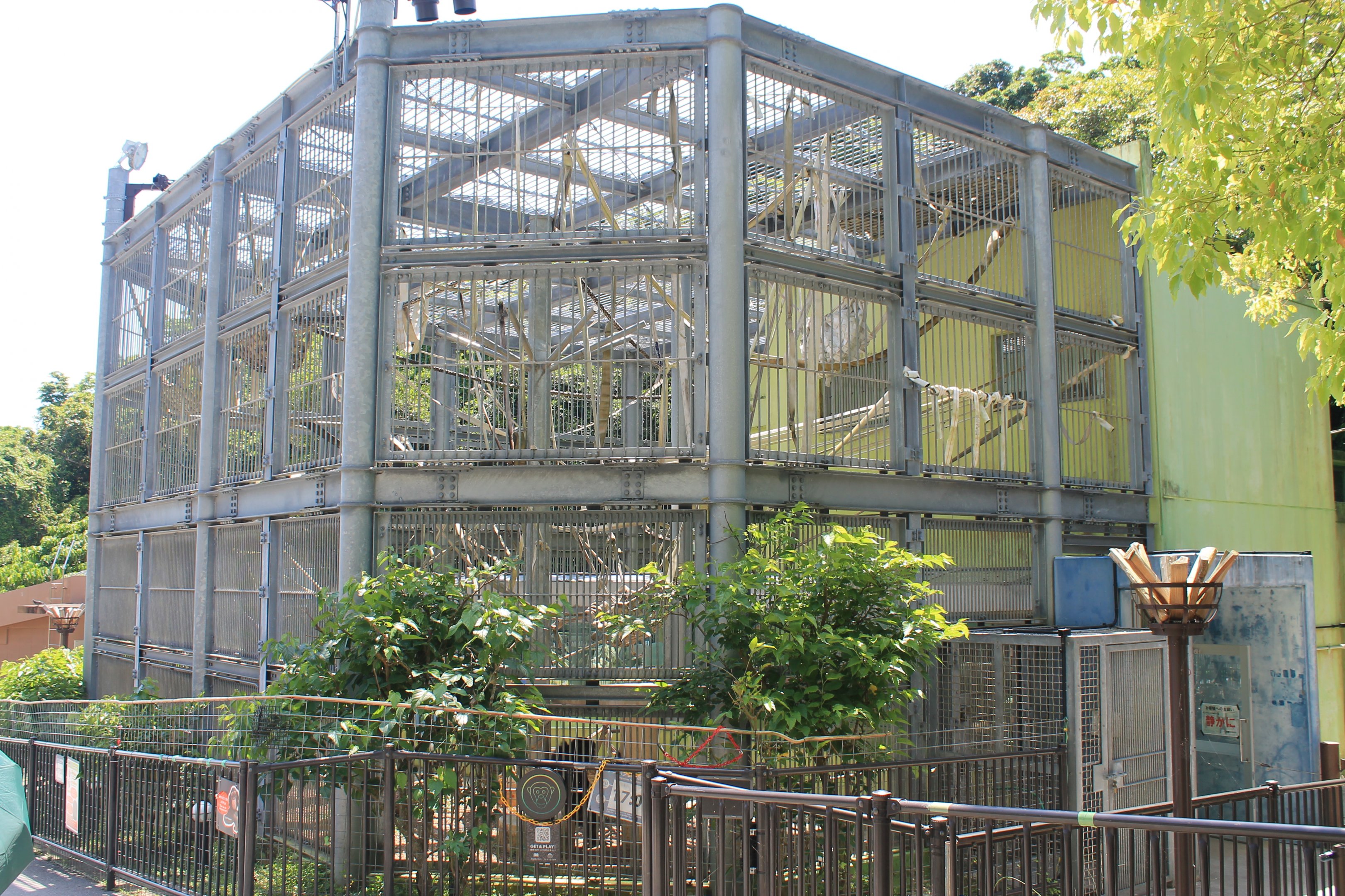 Okinawa Zoo - Chimpanzee cage